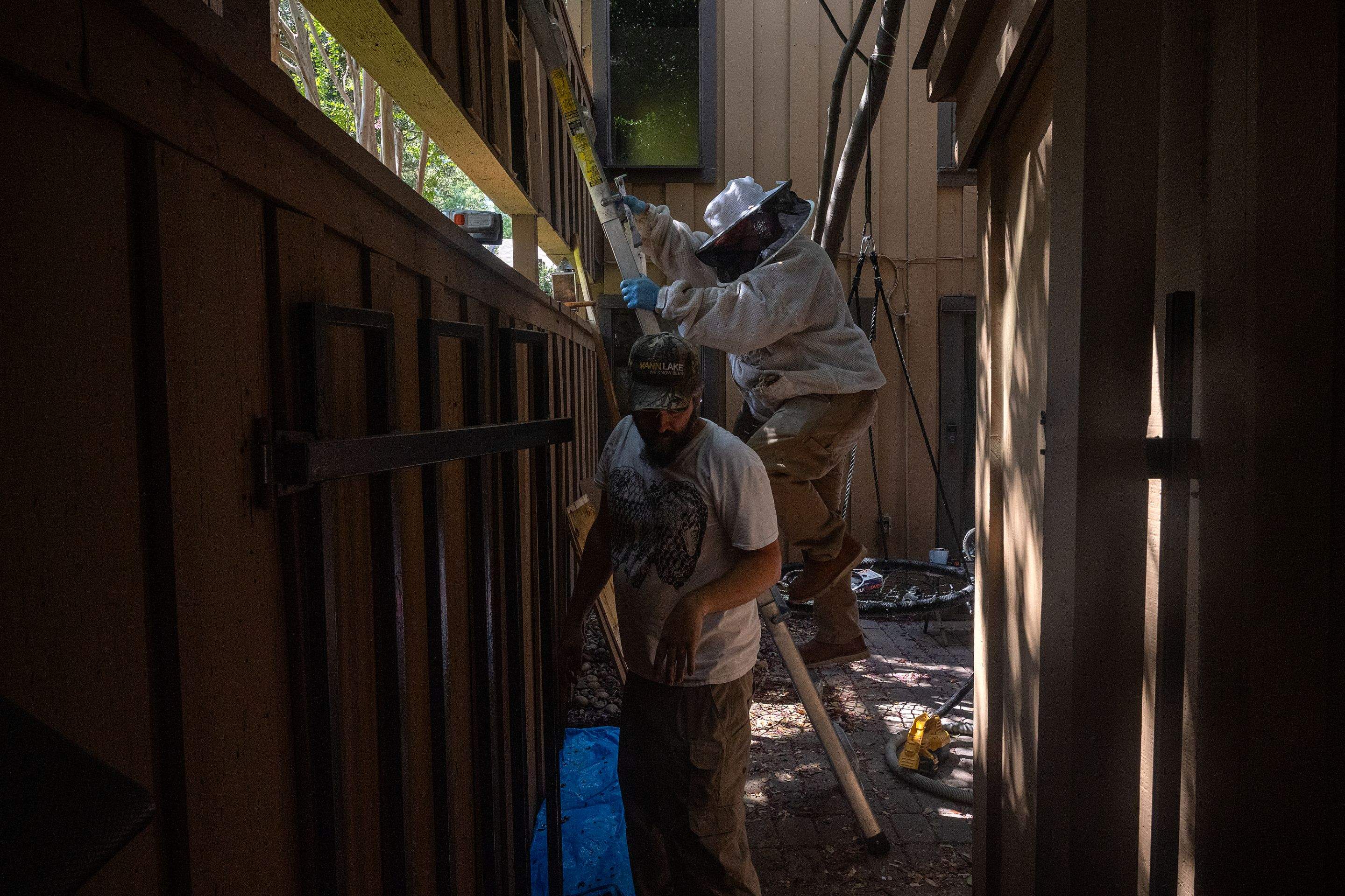 Condo Patio by Rockwall Honey Bee Company