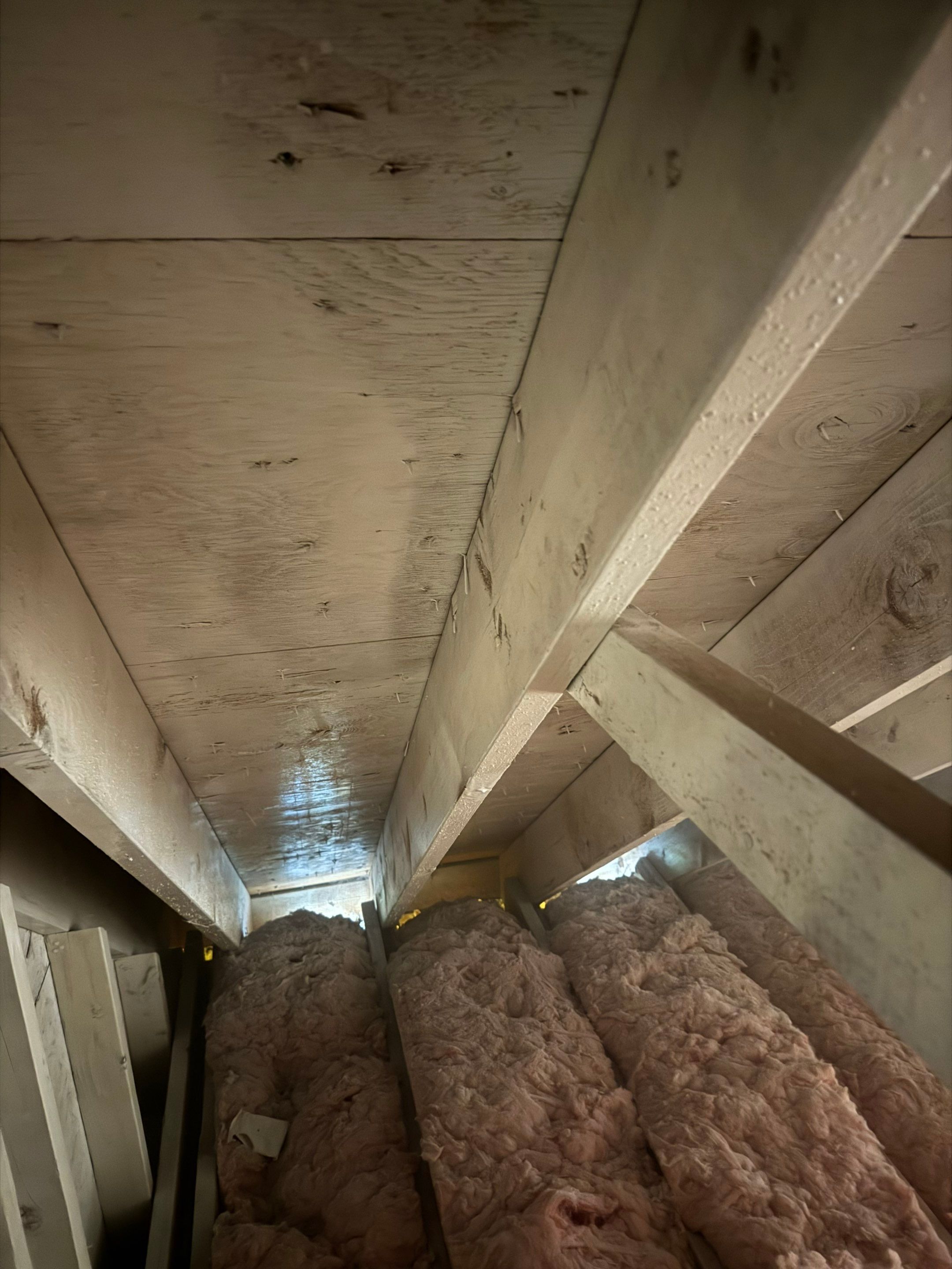 Interior French Drain With Radon Seal & Mold Remediation in Wall Township by Pure Service Pro, LLC 