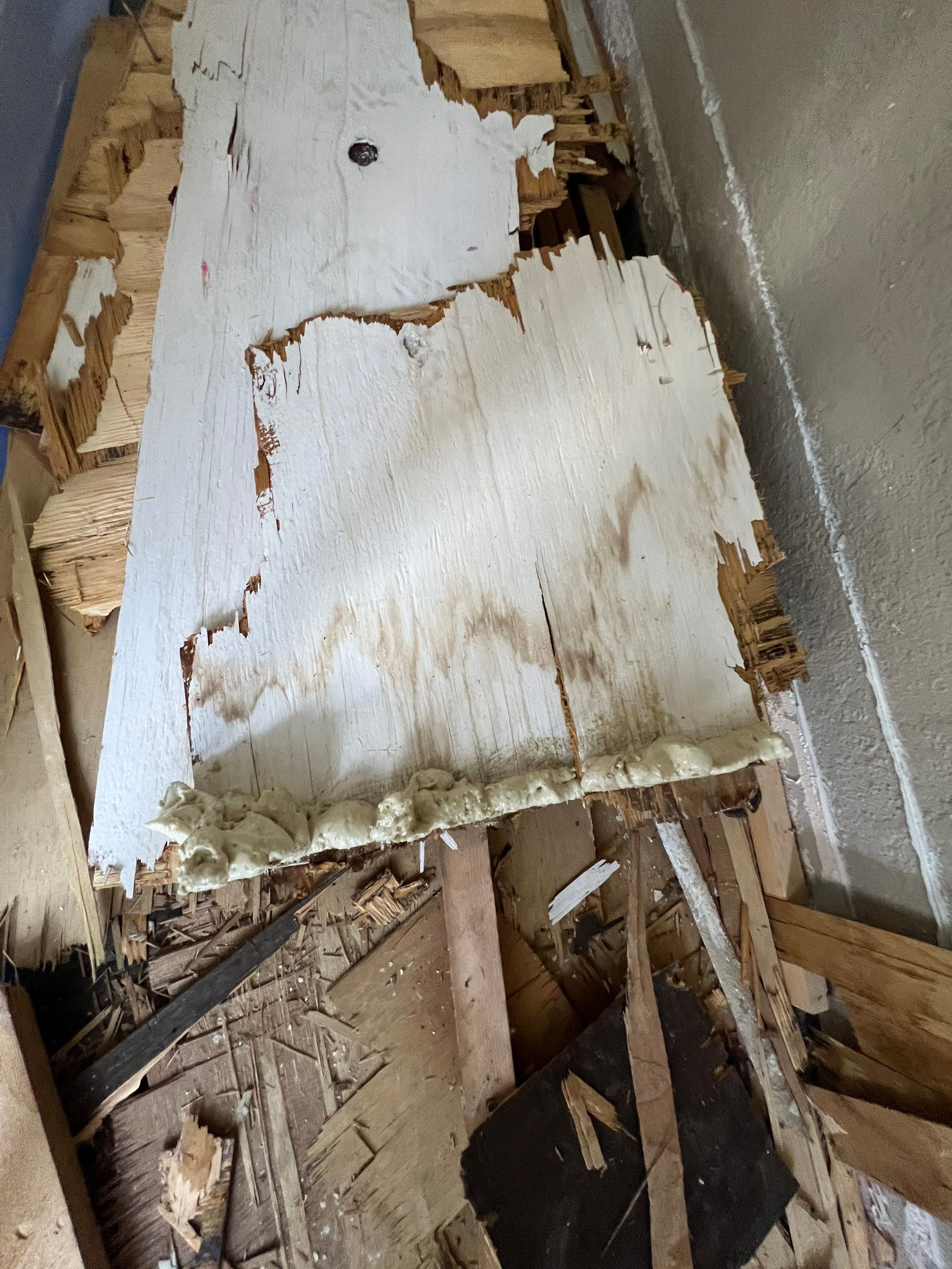 Windstorm Damage & Multi-Room Water Mitigation in St. Petersburg by Right On Time Restoration
