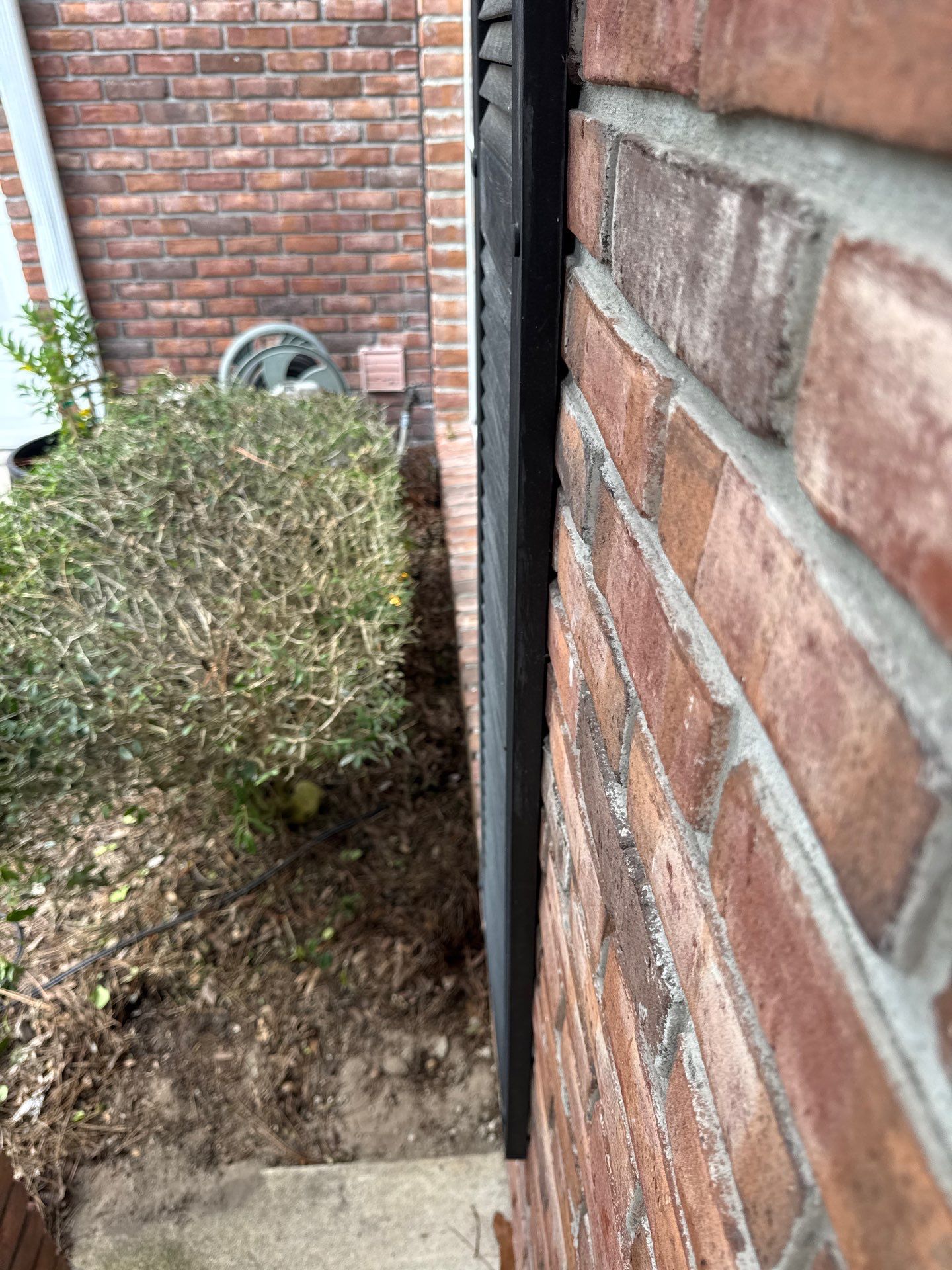 Residential | Shrub Trimming by ProGreen Services