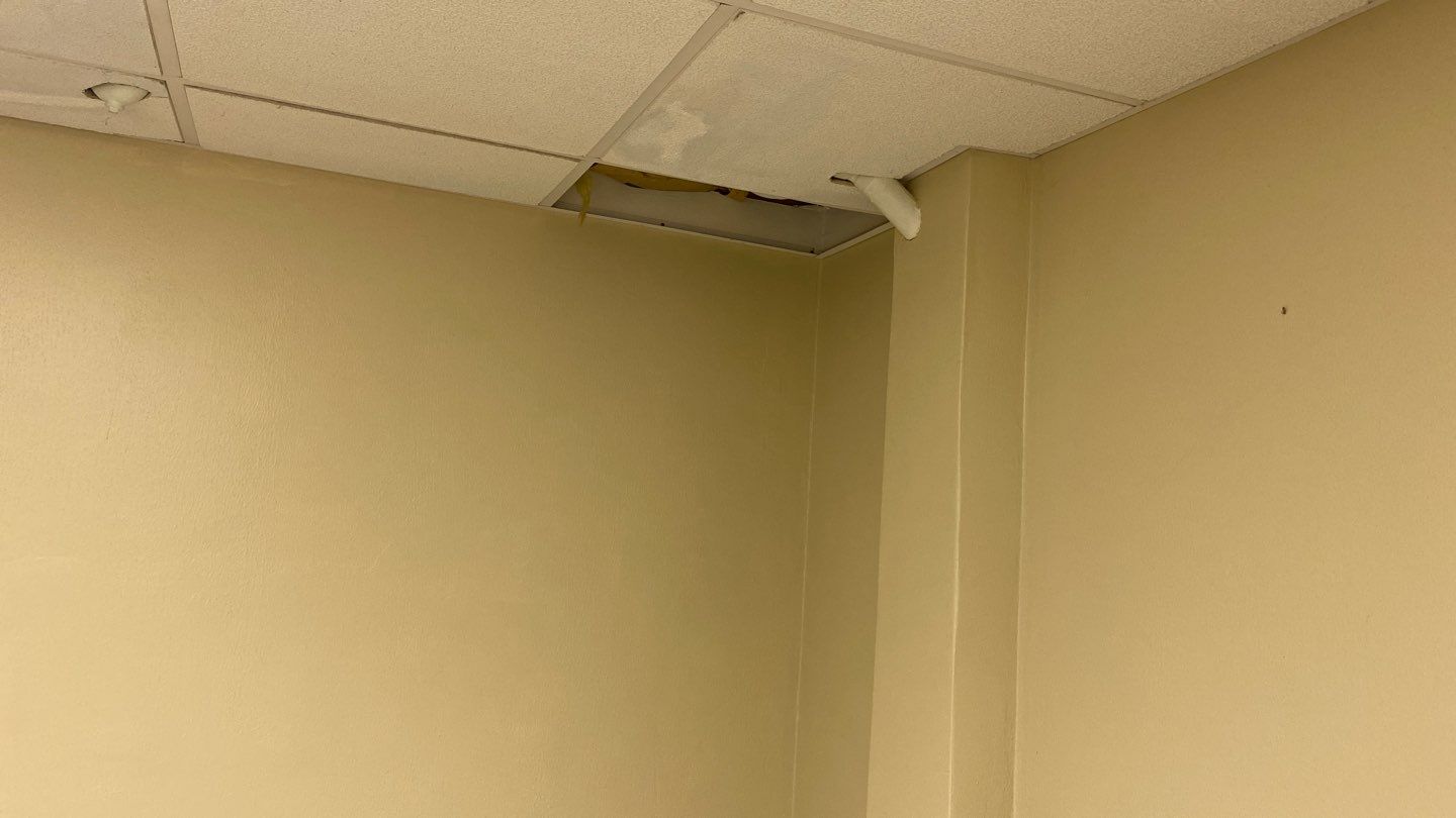 Water Damage  by Accountable Home Services