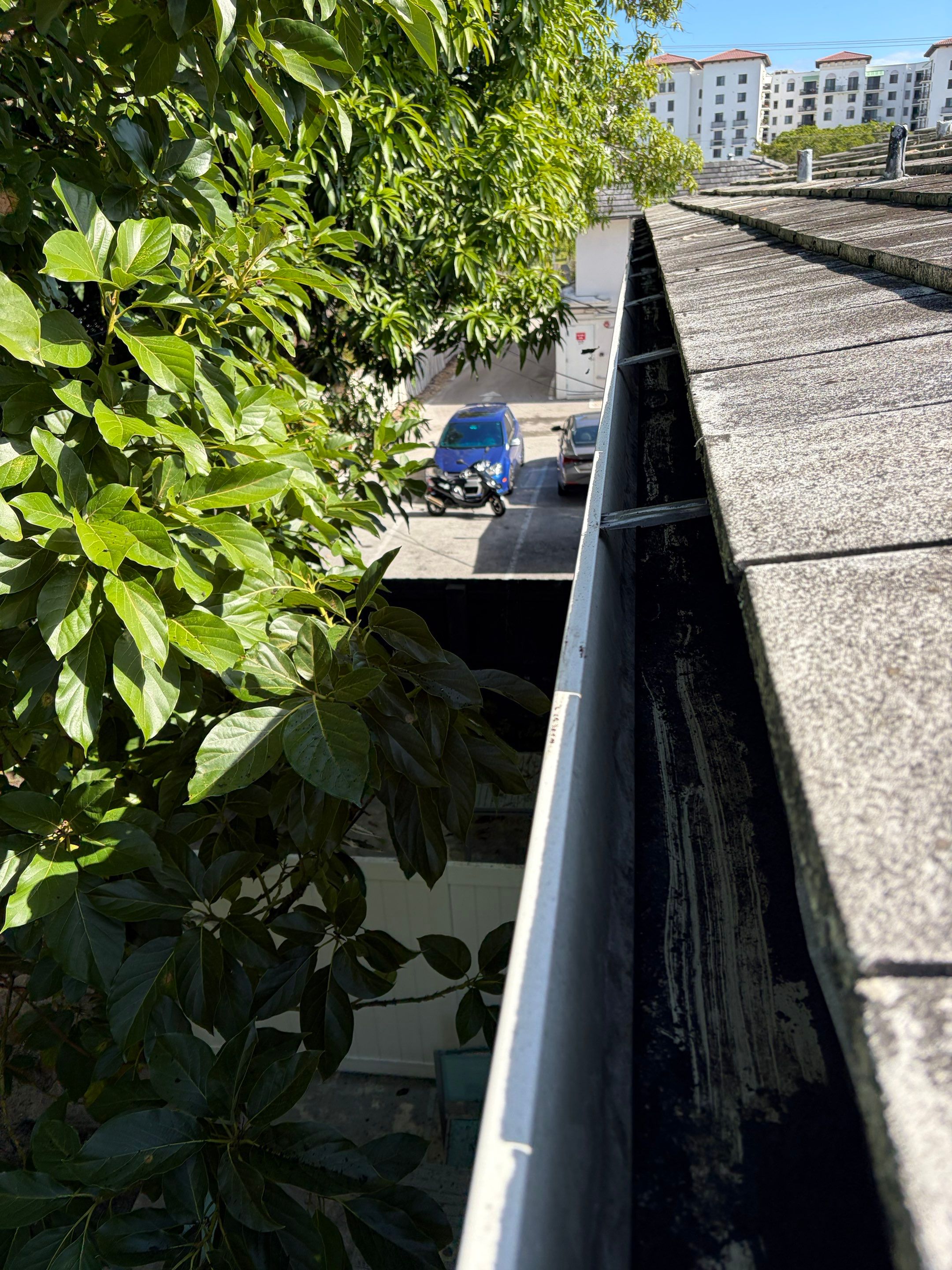 HOA gutter cleaning after photo.