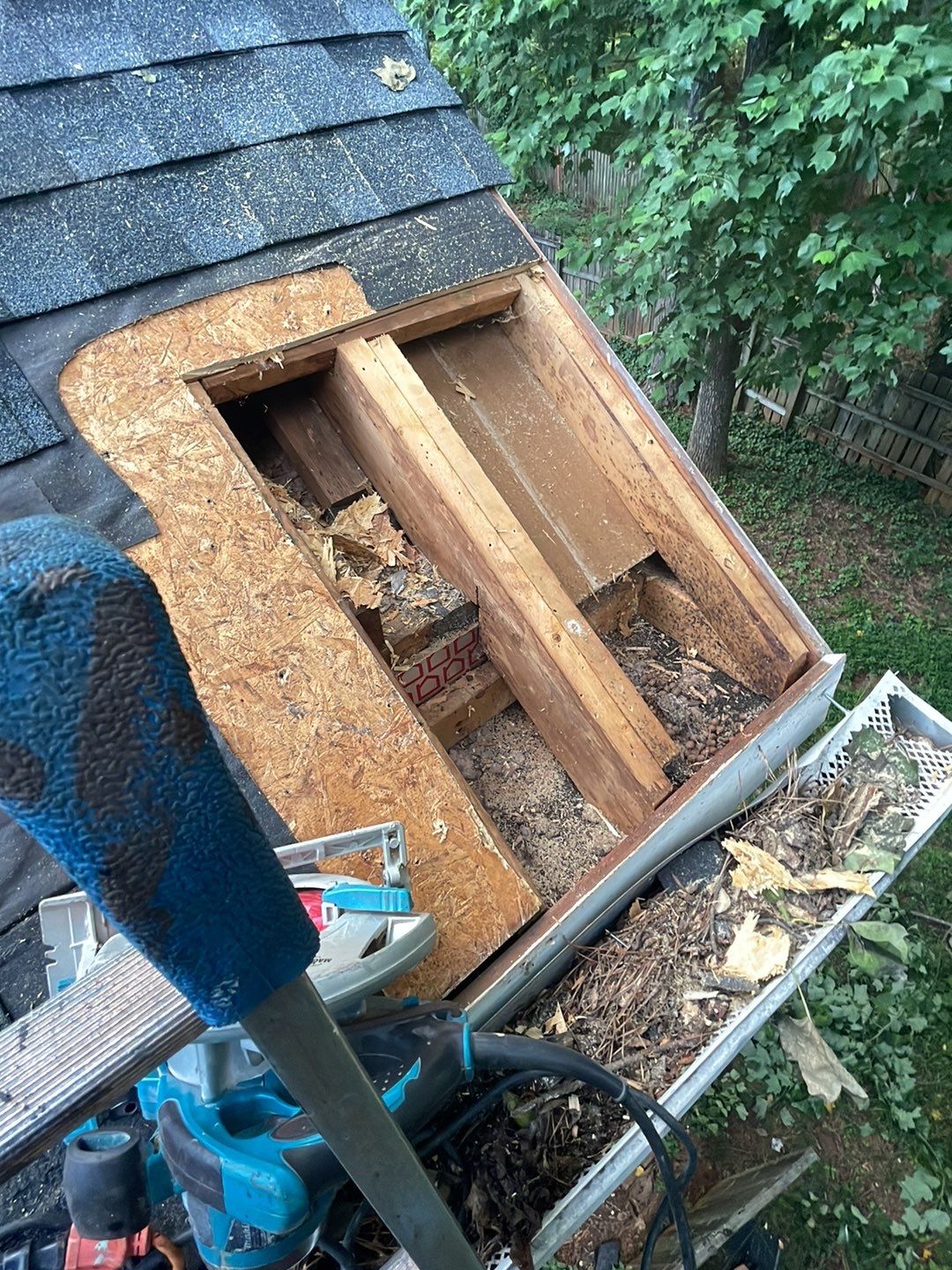 🌳 Tree Limb Hole Repair by Georgia Roof Advisors