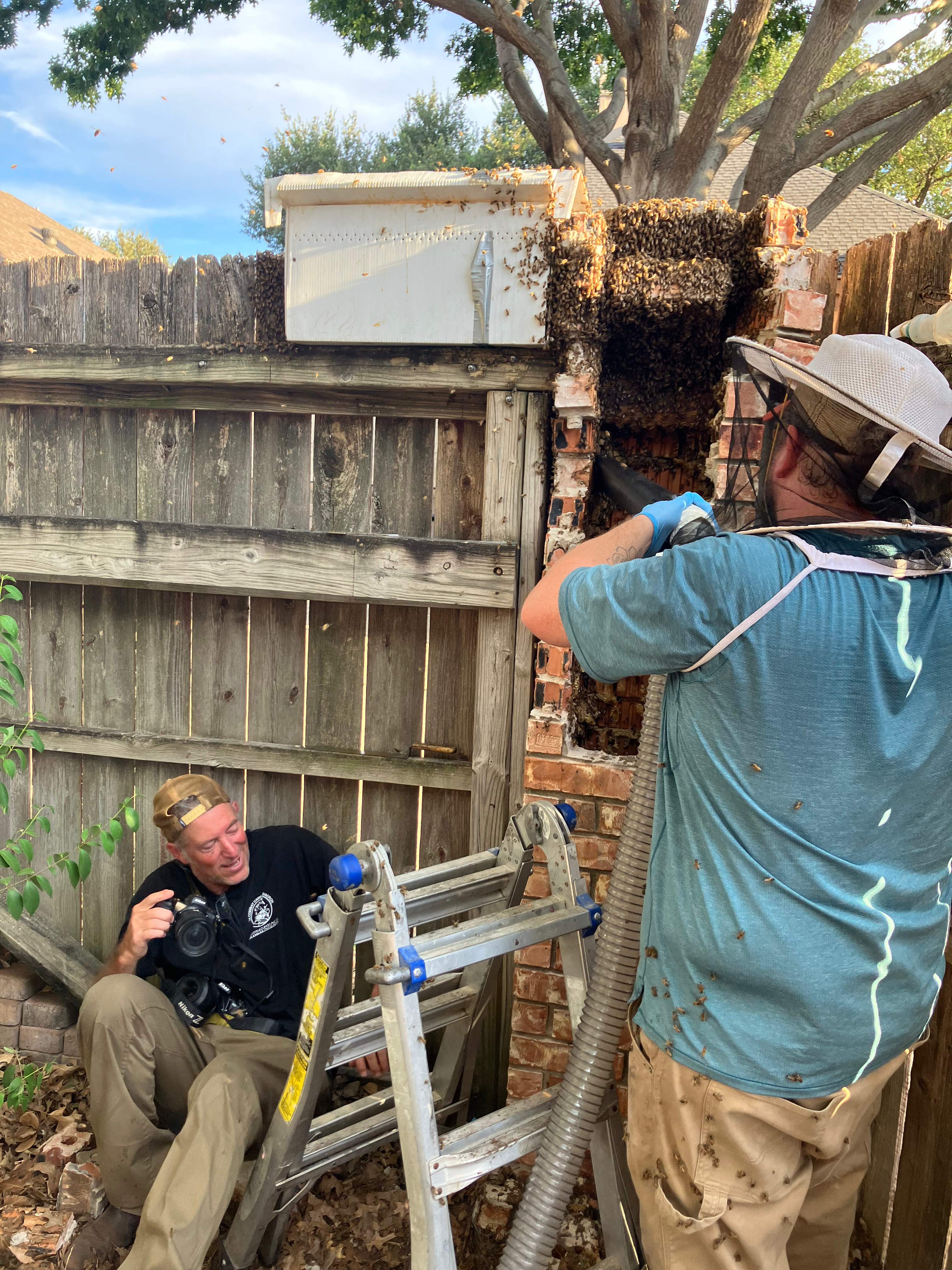 Brick Column by Rockwall Honey Bee Company