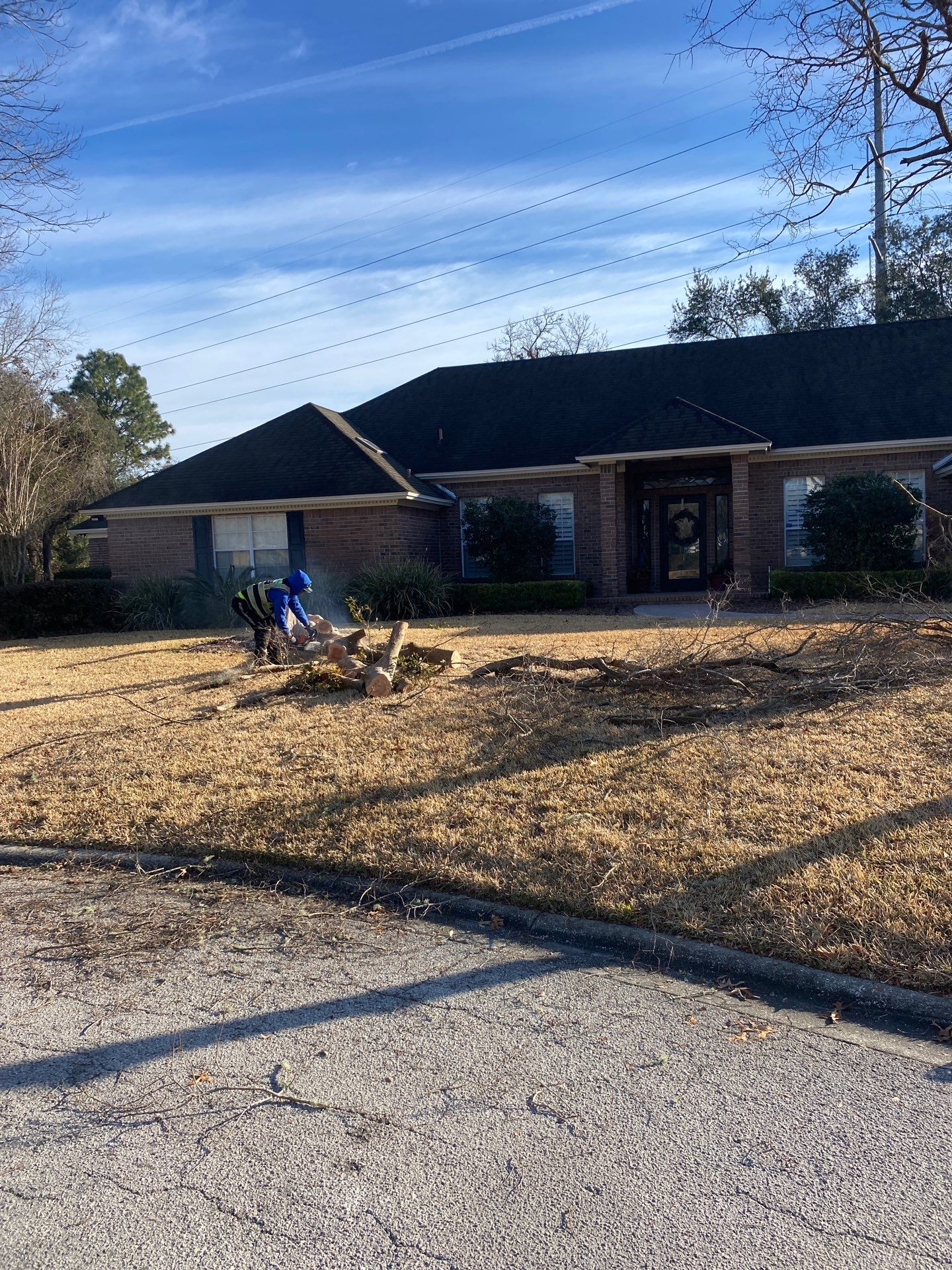 Deerwood Resident | Tree Removal by ProGreen Services