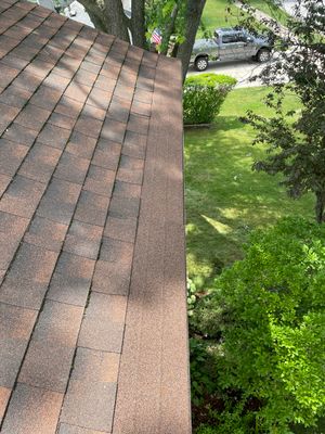 Turtle Shell gutter protection installation in Naperville, IL 60565, photograph 14