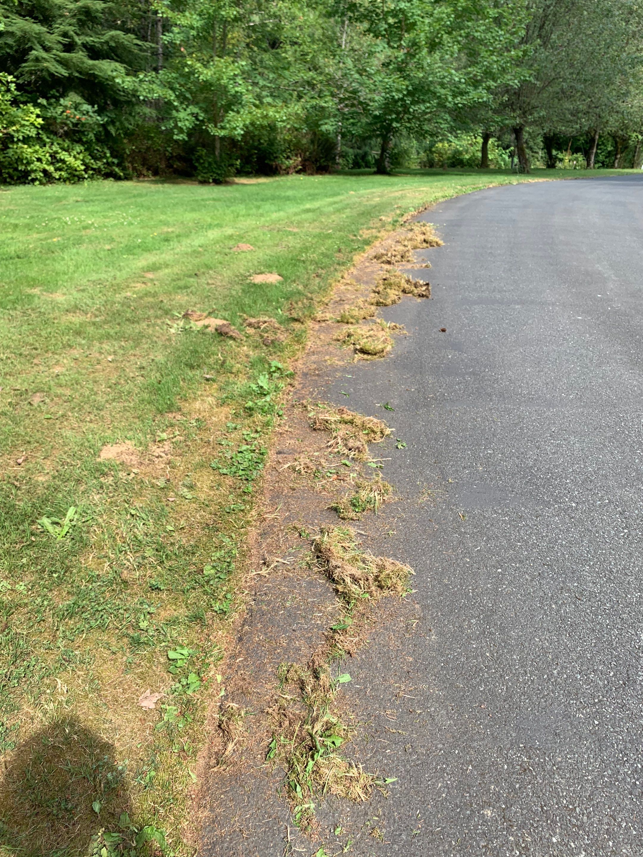 Jim | Rockery Wall, Landscaping, Road Repair & Sealcoating by Jireh Asphalt & Concrete Inc 