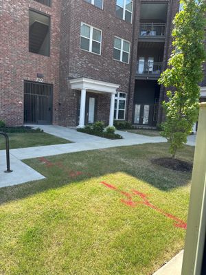 Utility Locate and Scan before Electrical install