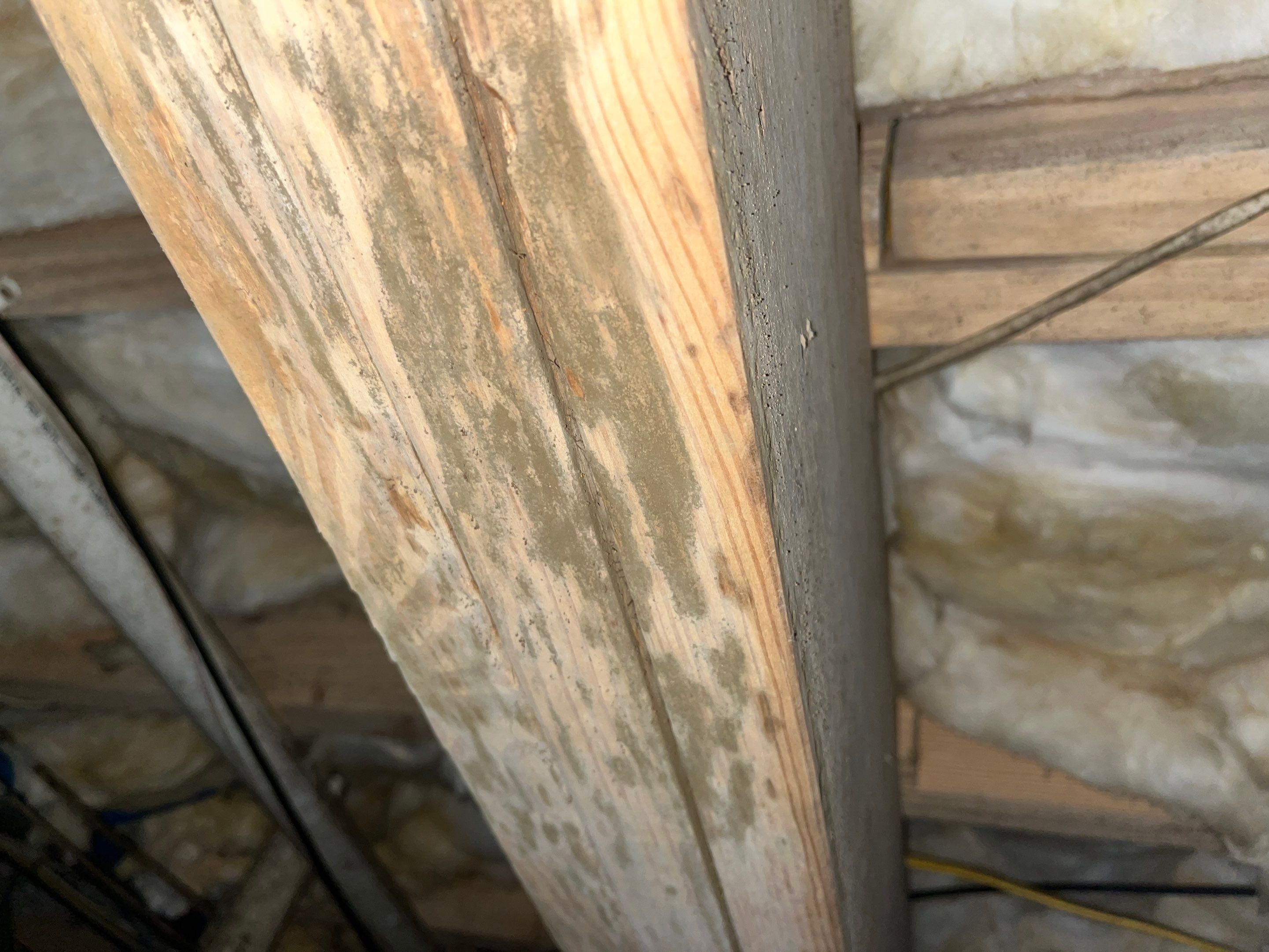 Impact Choice Encapsulation with French Drain, Mold Removal, and Crawlspace Door by Impact Crawlspace