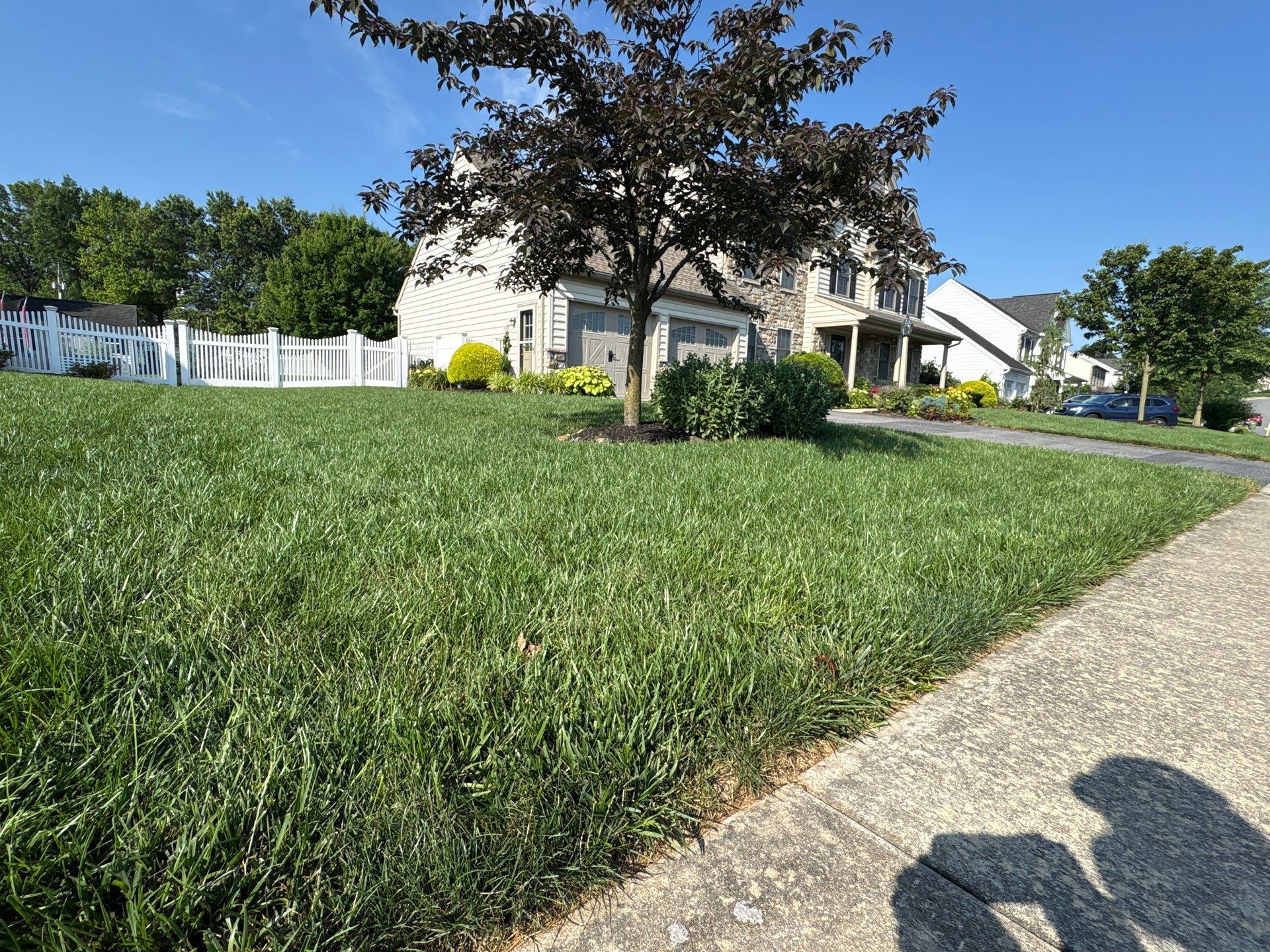 York Pa by Go Green CLC