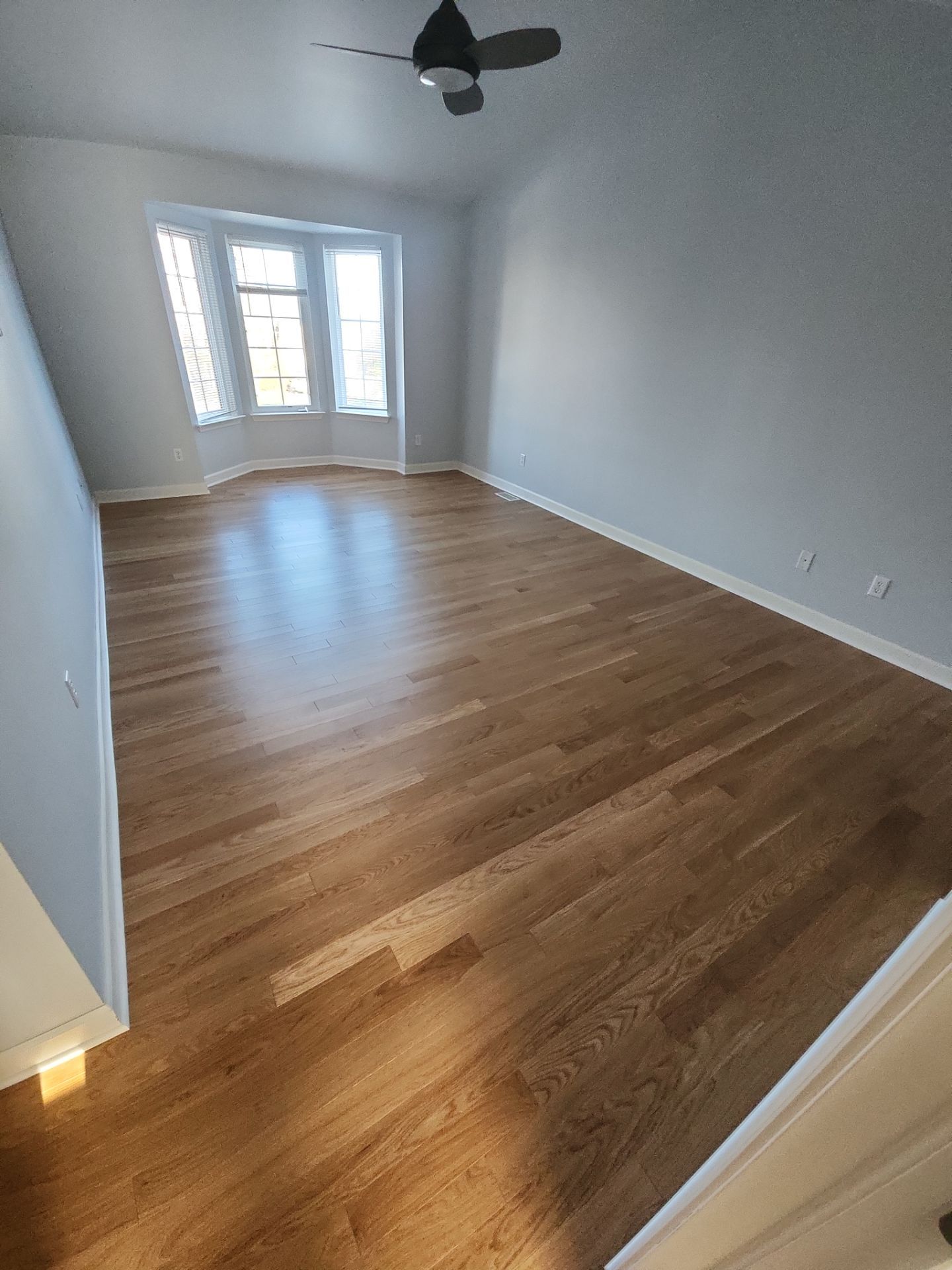 Project in Saline, MI by Ann Arbor Hardwoods 