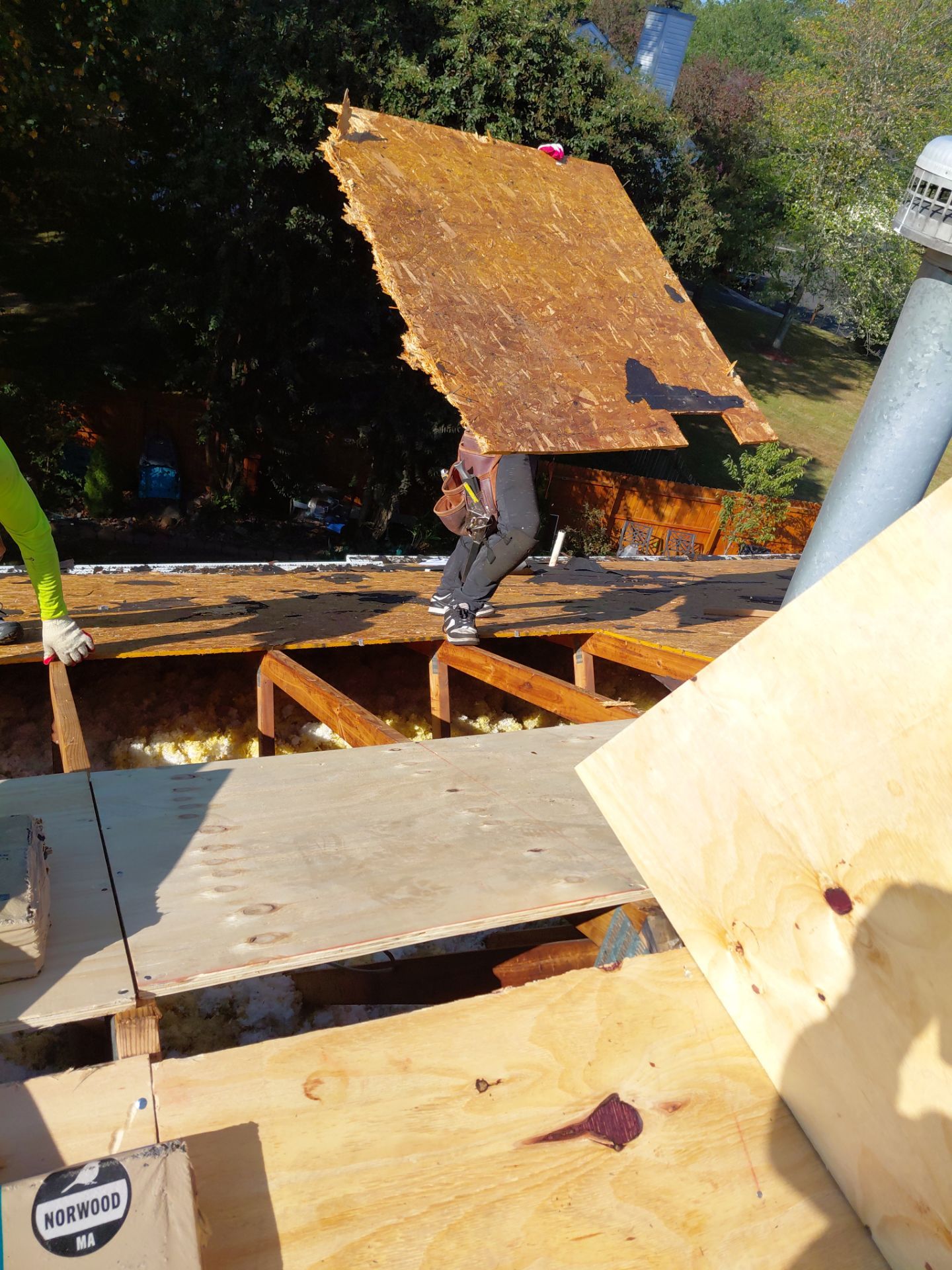 Gainesville: Residential Roof Replacement with CertainTeed Landmark in Moire Black  by RM Banning, Inc.