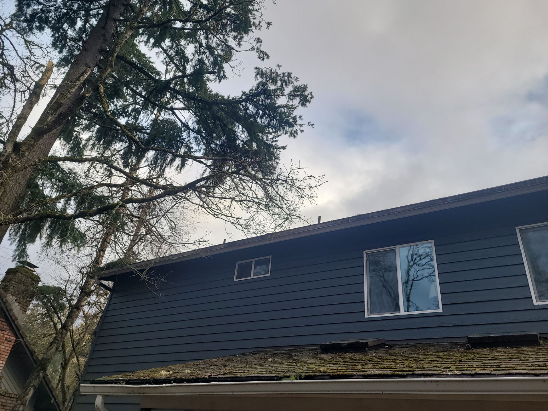 Siding Repair Project by BEST Roofing & Waterproofing