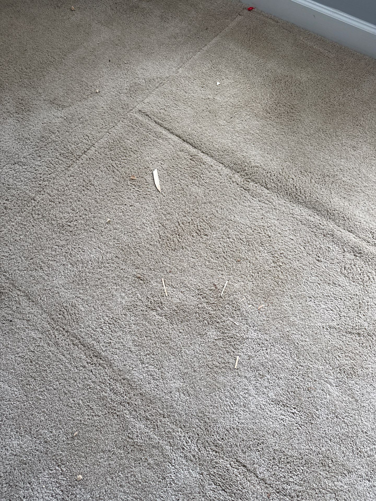 Project in Charlotte by Badger Hauling