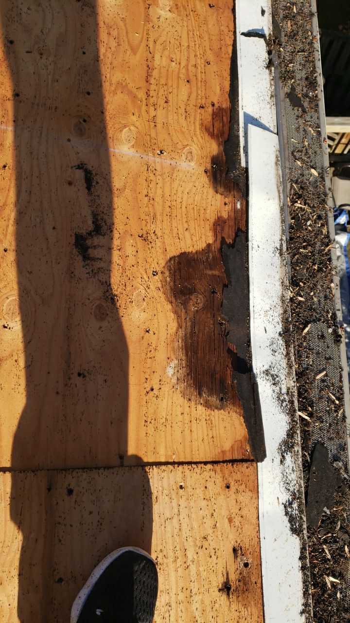 Springfield: CertainTeed Landmark Pro Designer Shingles in Max Def Pewterwood by RM Banning, Inc.