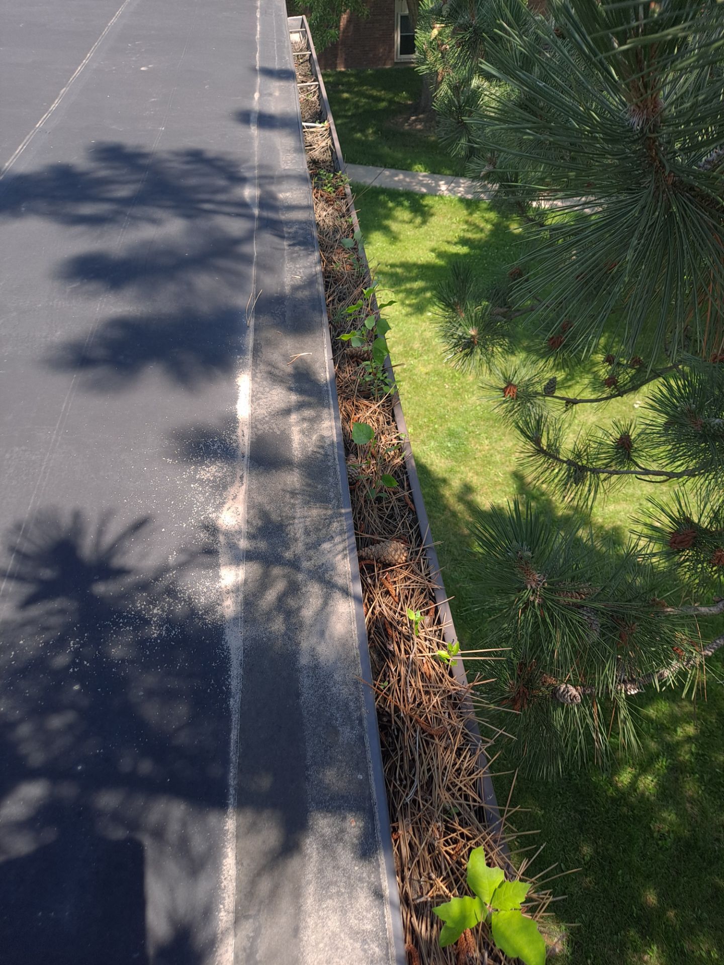Commercial gutter cleaning Minnesota before photo with filled gutters