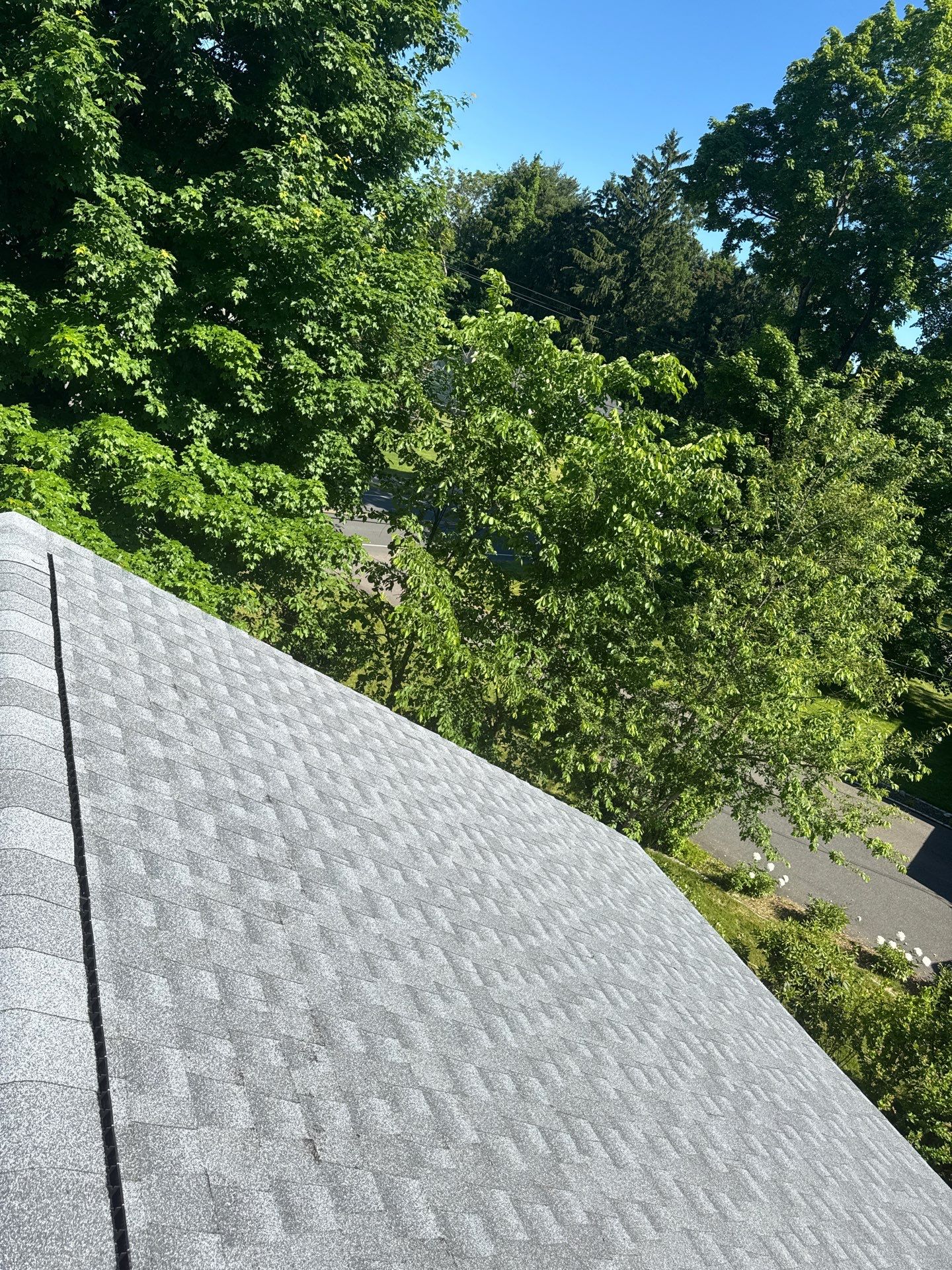 Beautiful new asphalt shingles on a roof in Vernon! by DiGiorgi Roofing and Siding Inc