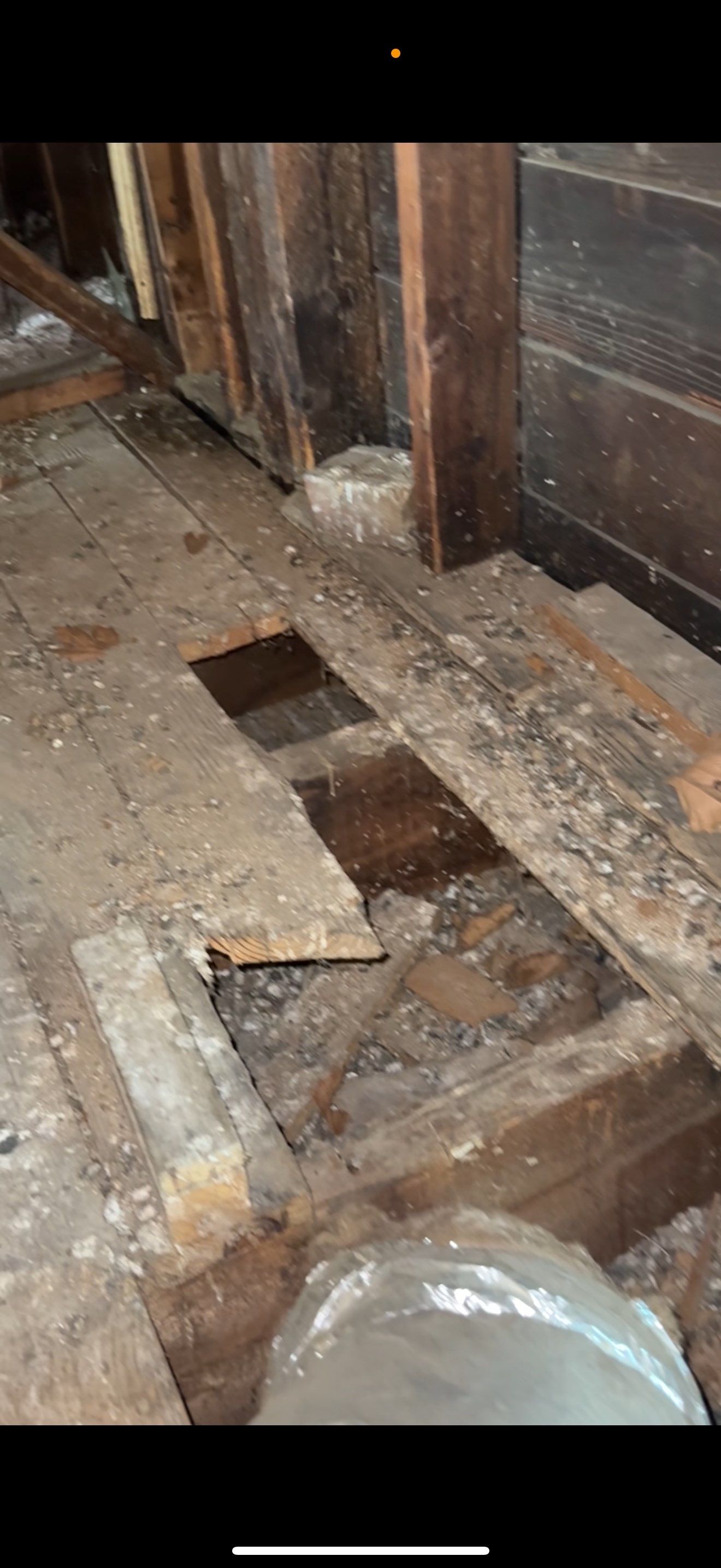 BIOHAZARD PIGEON FECES by Sadie’s Pro Cleaning