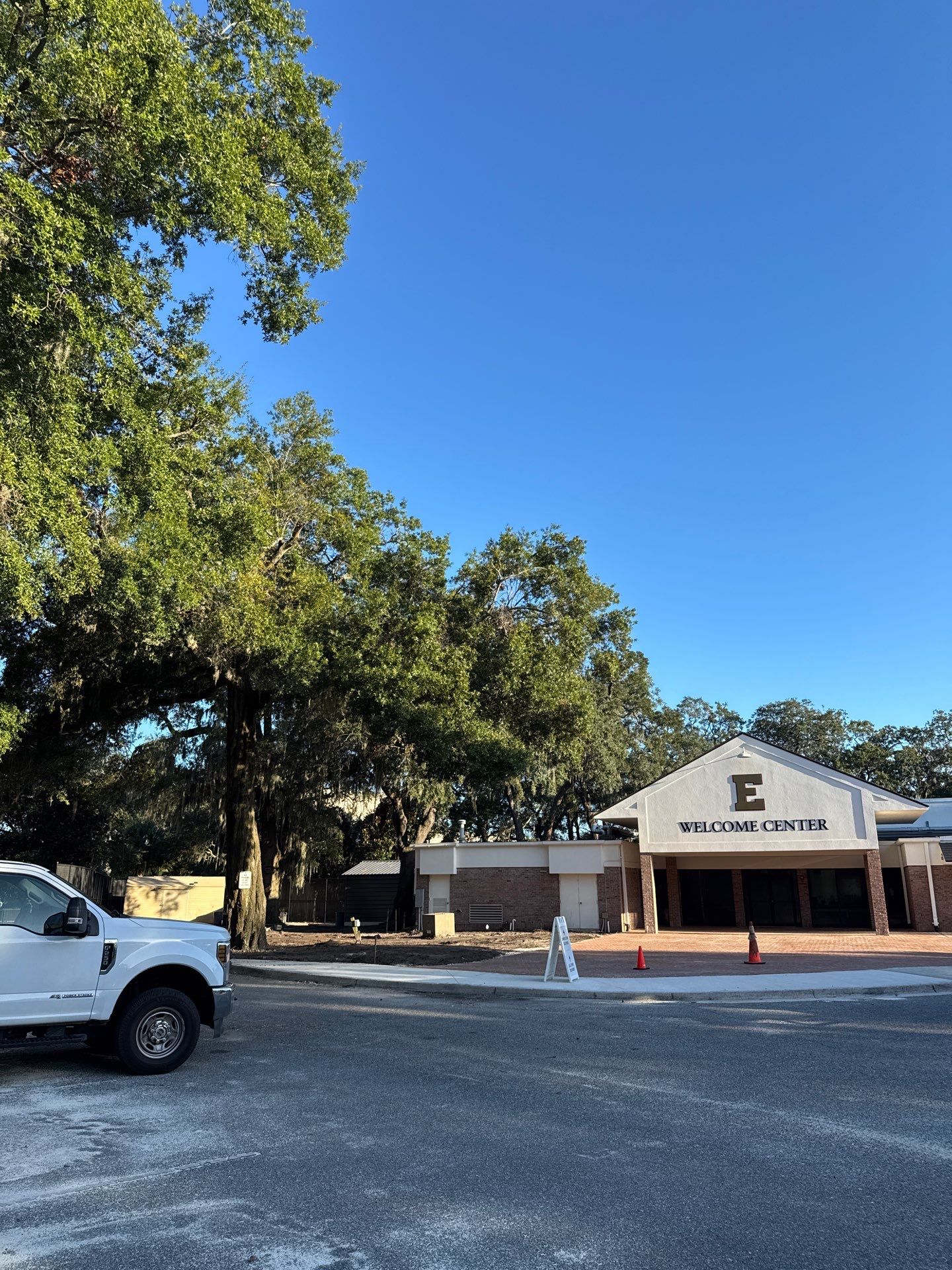 Welcome Center Tree Removal | Episcopal School of Jacksonville by ProGreen Services