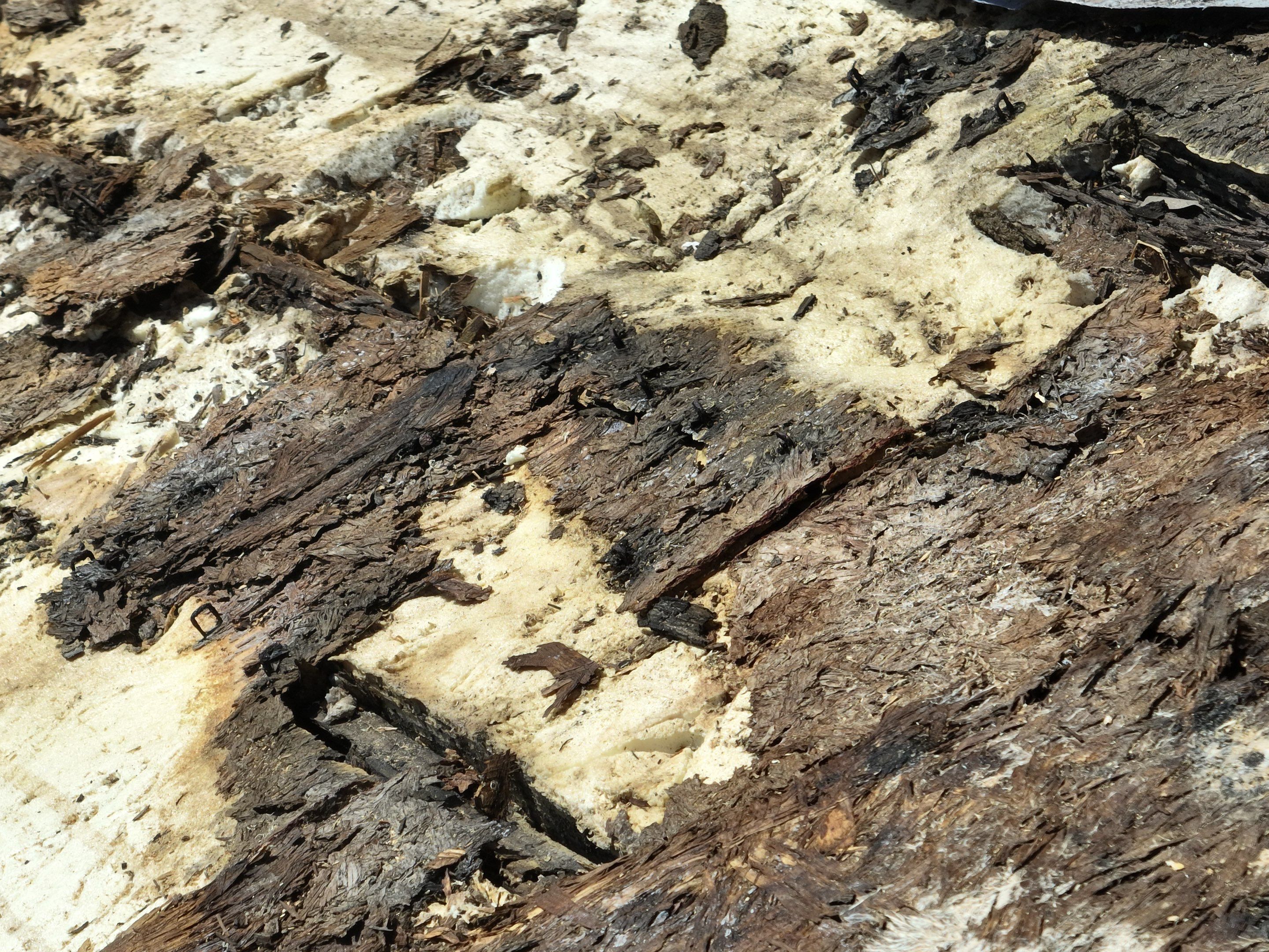 Tile Roof Repair  using Concrete S Tile by Premier Roofing and Contracting
