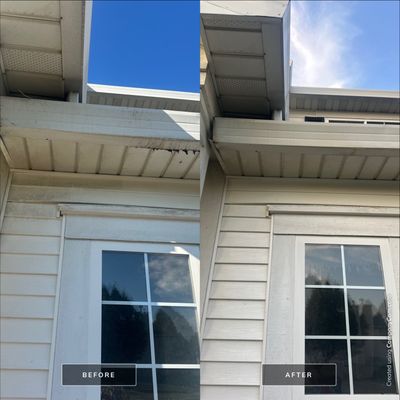 Project in Mundelein