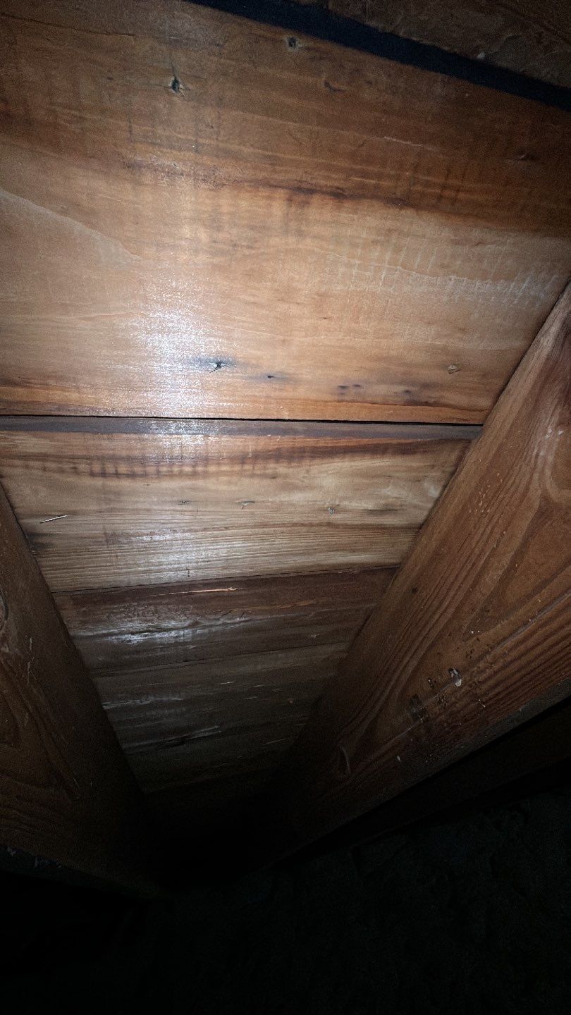 Arlington: CertainTeed Landmark Designer Shingles in Colonial Slate by RM Banning, Inc.