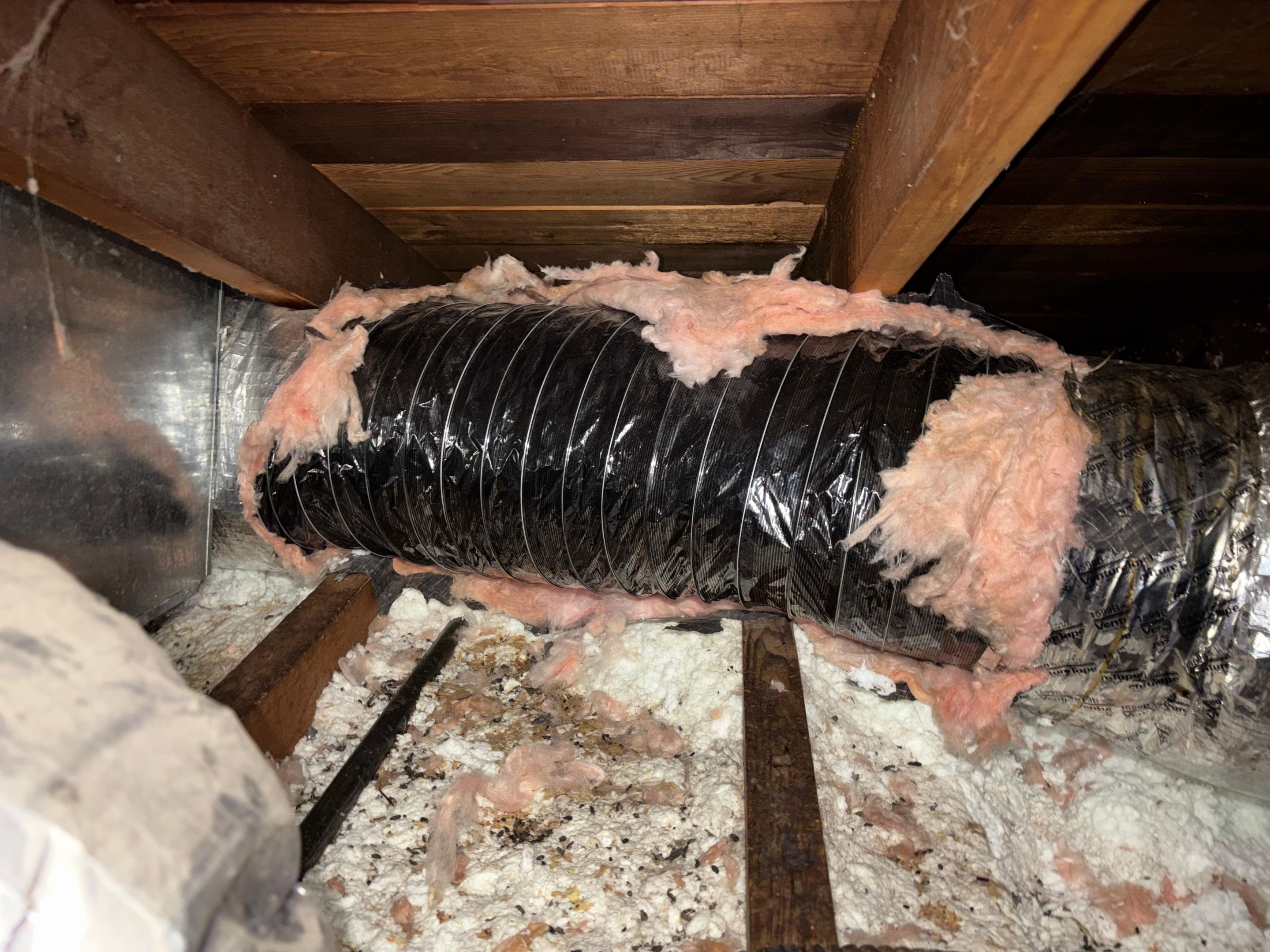 Project in Burbank by Insulation Labs