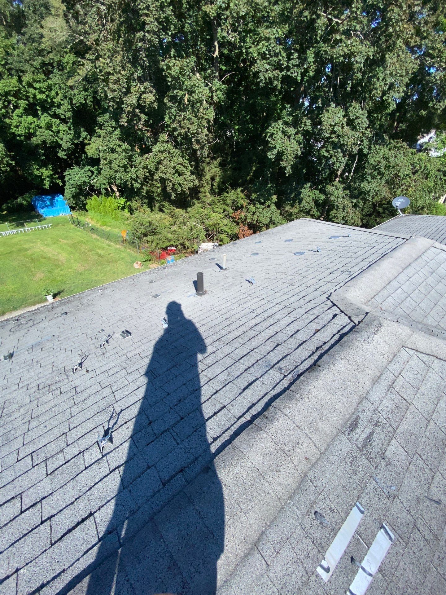 Silver Birch Shingles by Reimagine Roofing