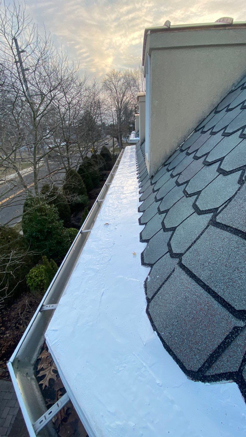 Roof Plus featured photo.