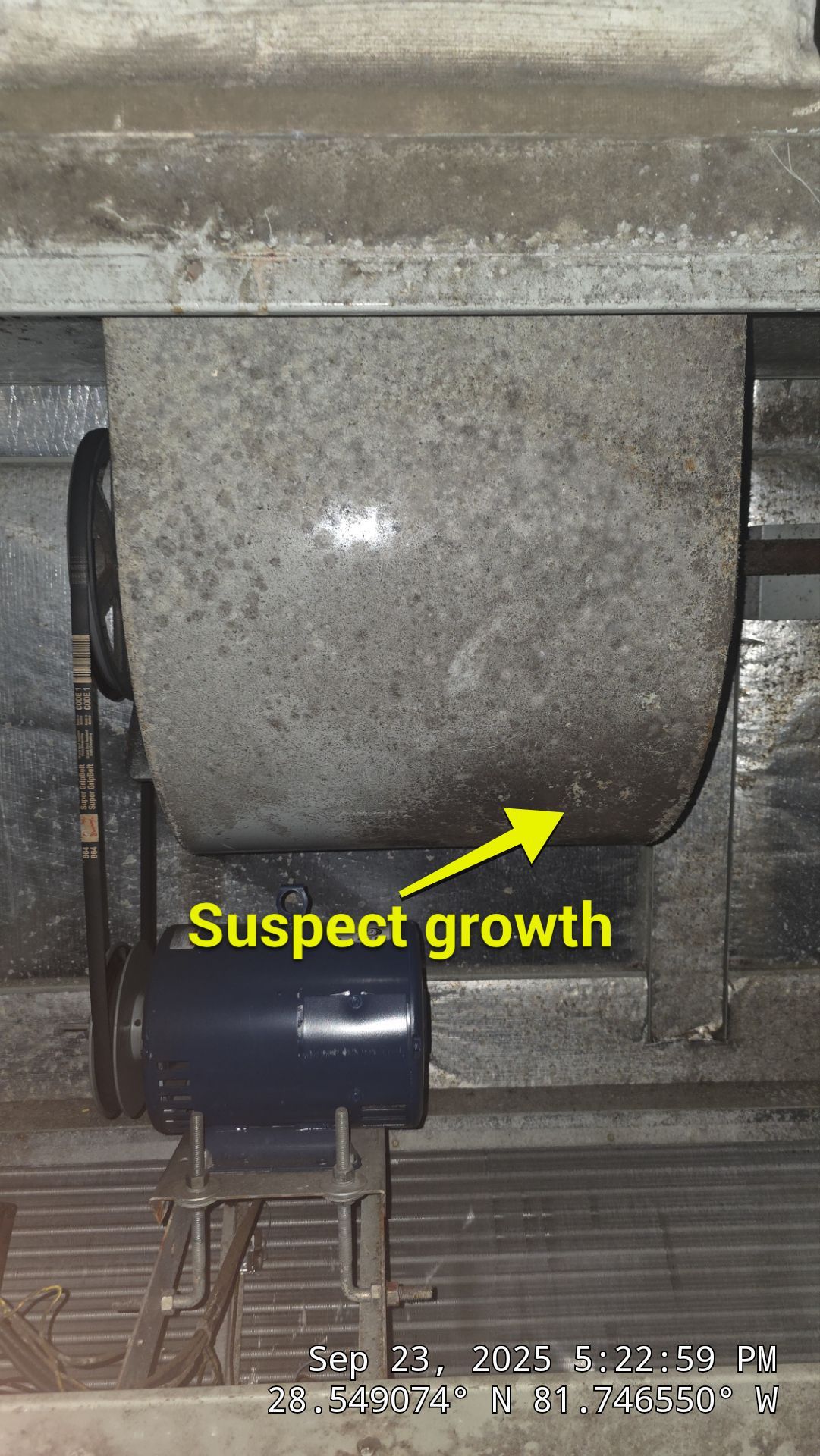 Commercial Air Duct Cleaning in Clermont  by Hygienic Air, Inc