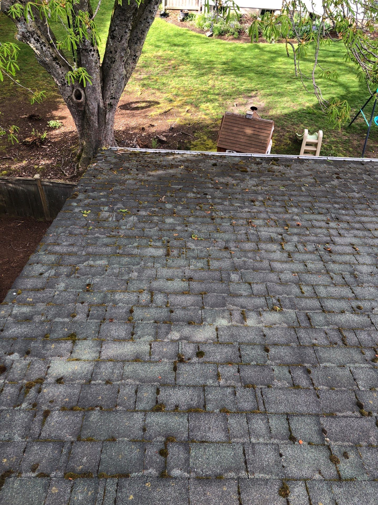 Project in Lynden by Peaks and Valleys Construction