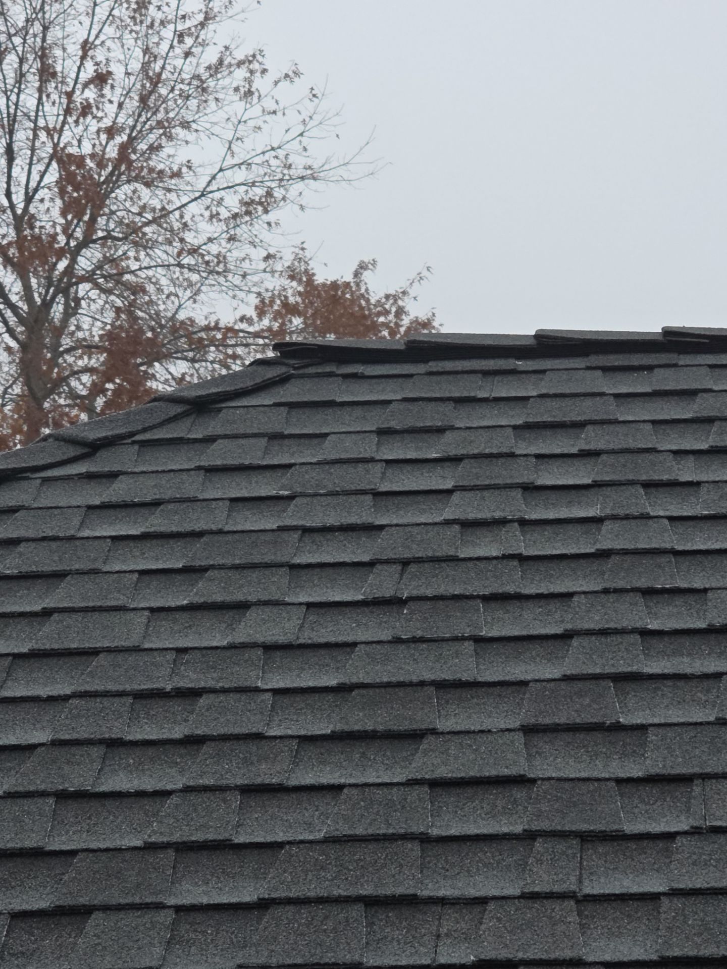 Roof Rejuvenation using Roof Maxx Treatment by Roof Maxx of Folsom
