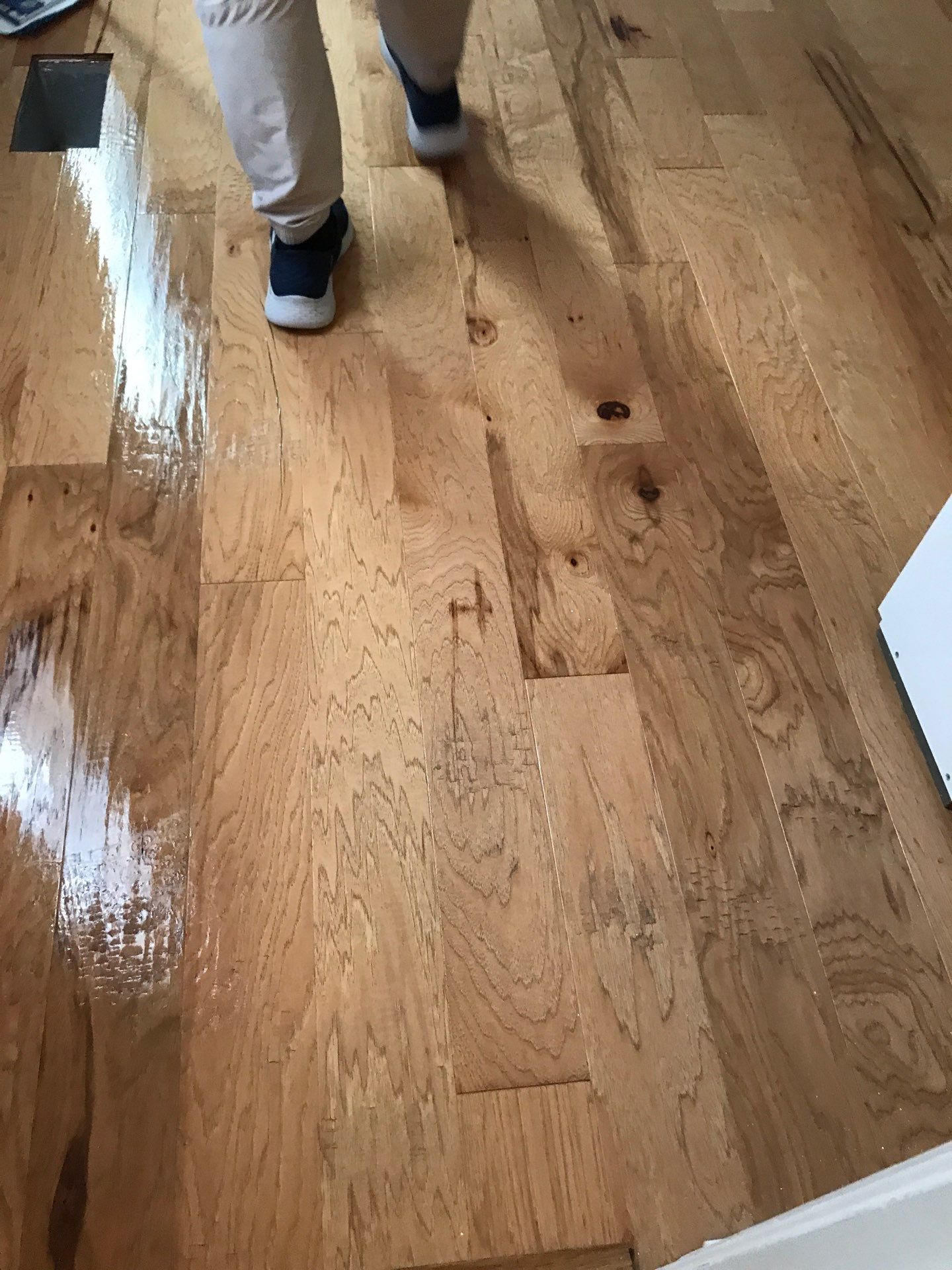 Hardwood Renewal by Monster Clean