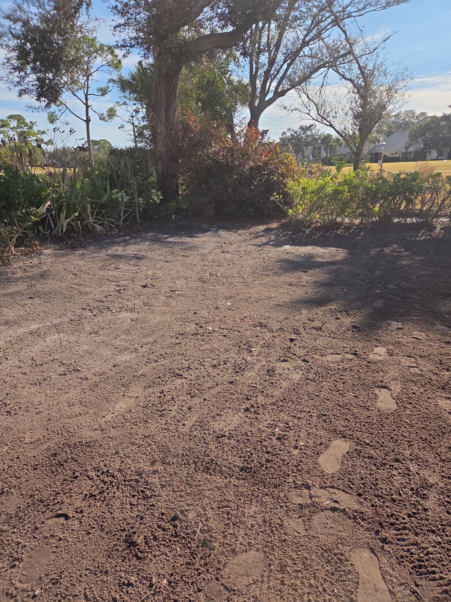 Landscaping and Irrigation for New Construction in Mariner Sands by Alpha Zeta Enterprises Inc