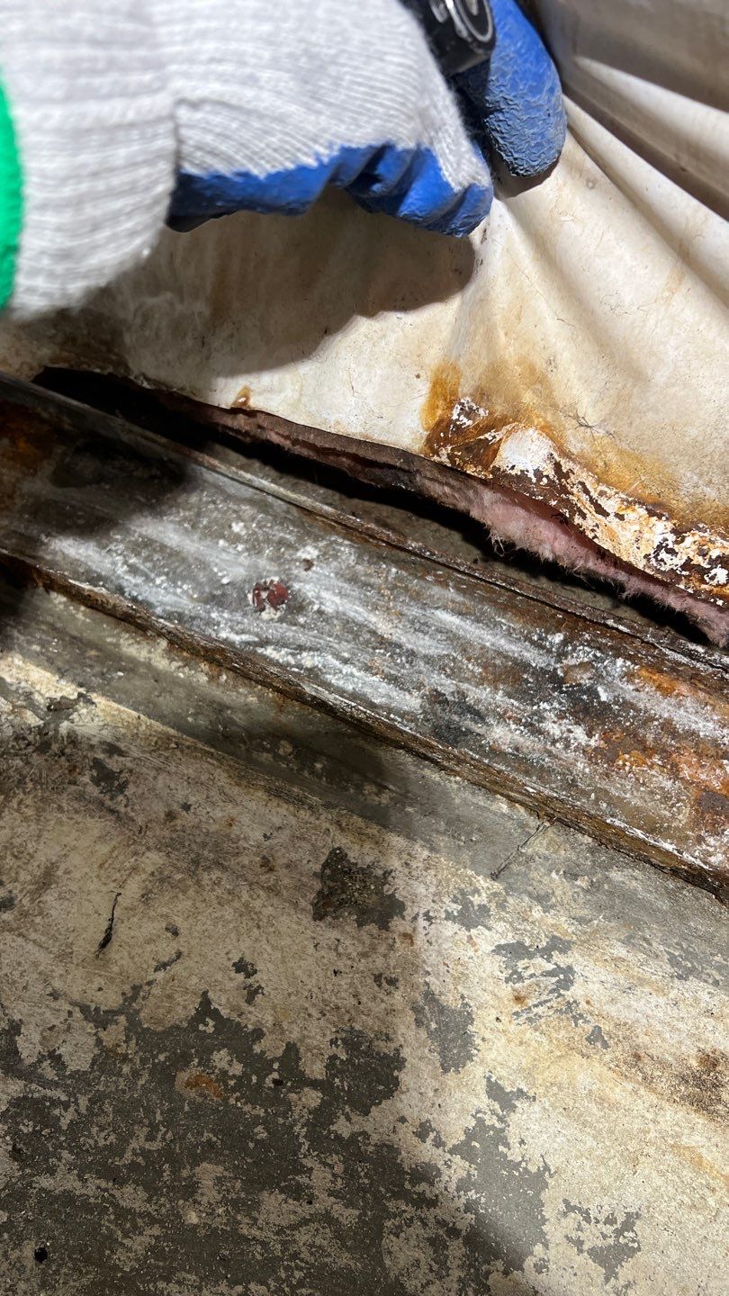 Mold Remediation by Accountable Home Services