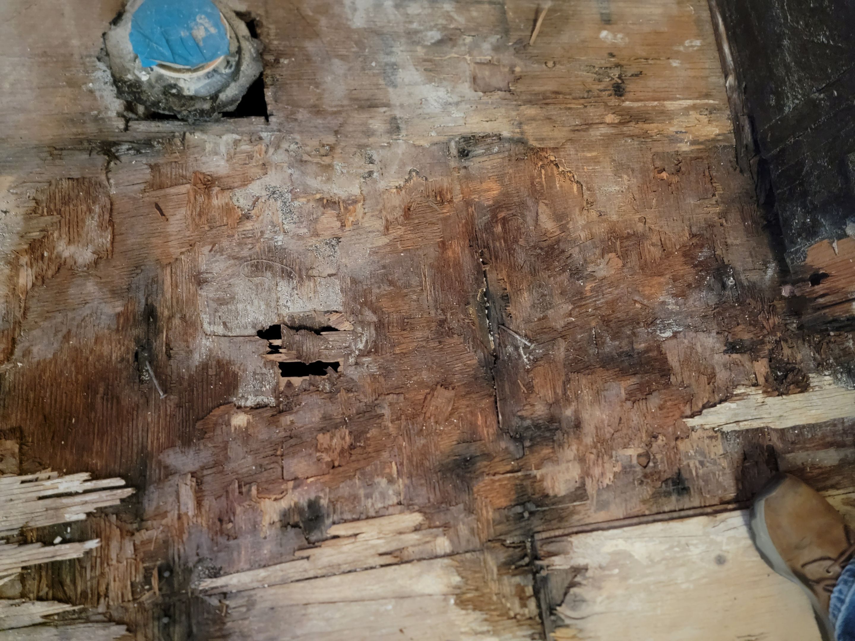 Water Damage and Restoration Completion by Smart Dry Restoration