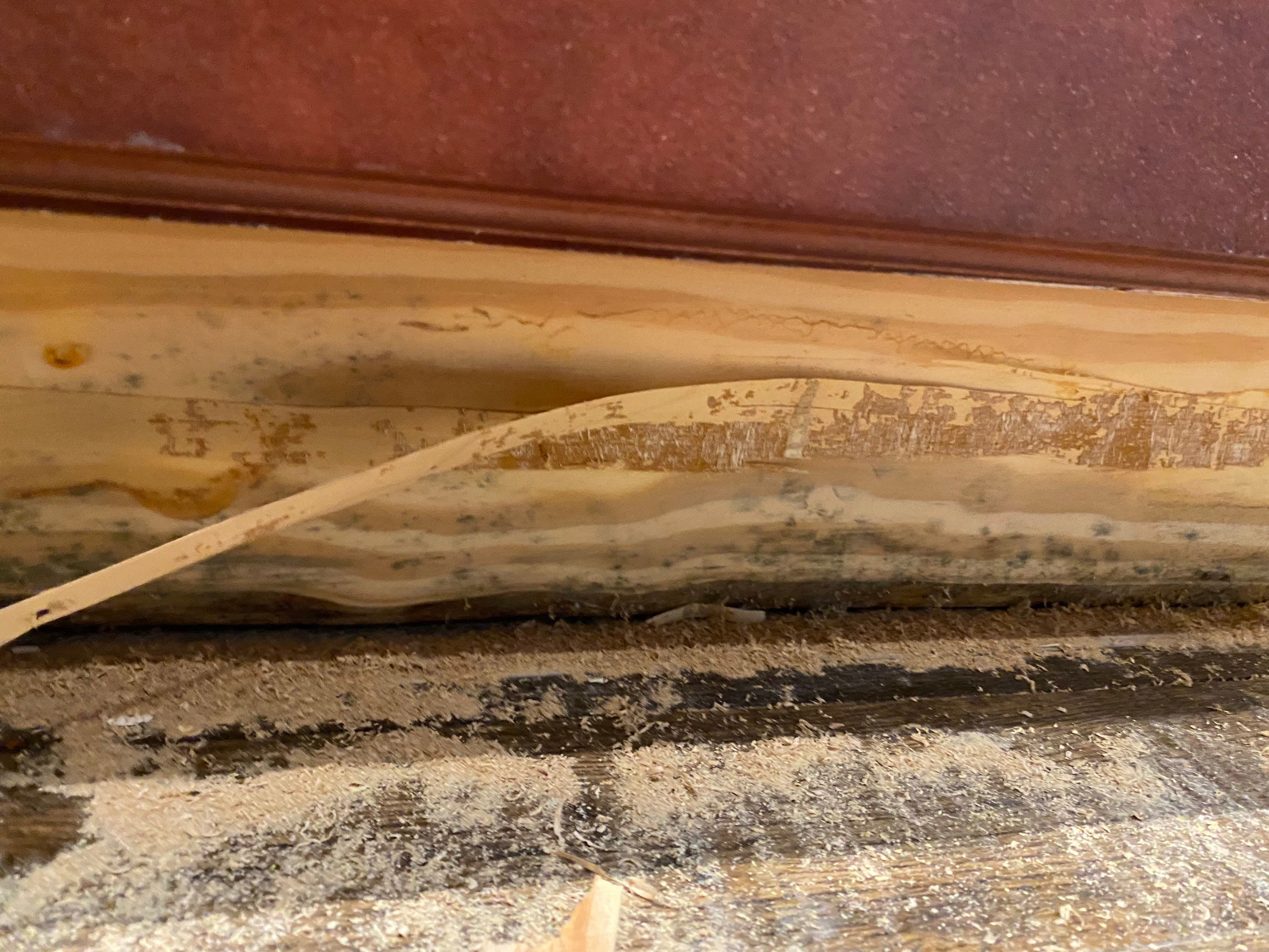 maria aguilera by Unlimited Fire Restoration