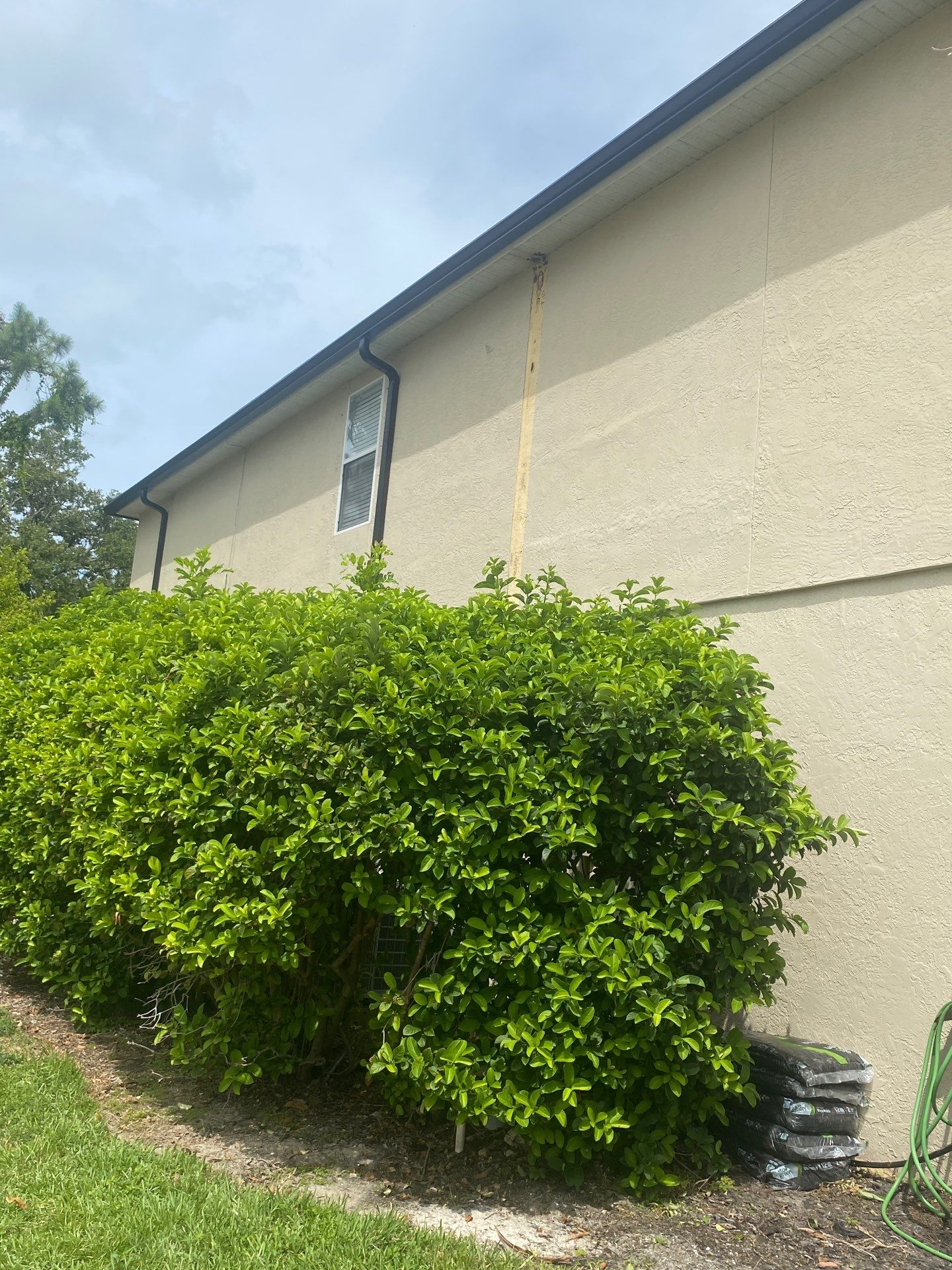 Black Seamless Gutters for Modern Homes in Osprey FL by Gutter Professors
