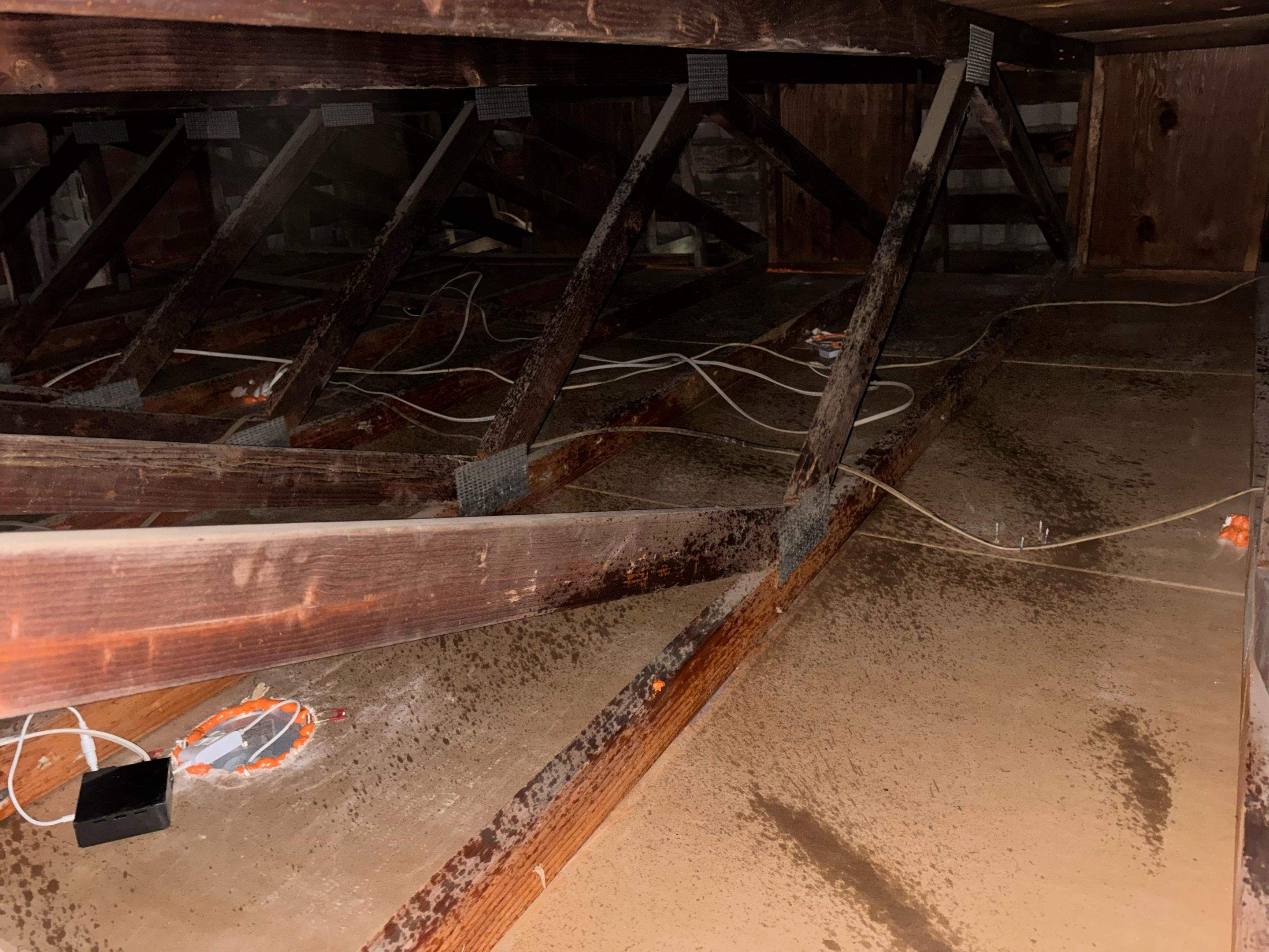 Project in Cypress by Insulation Labs