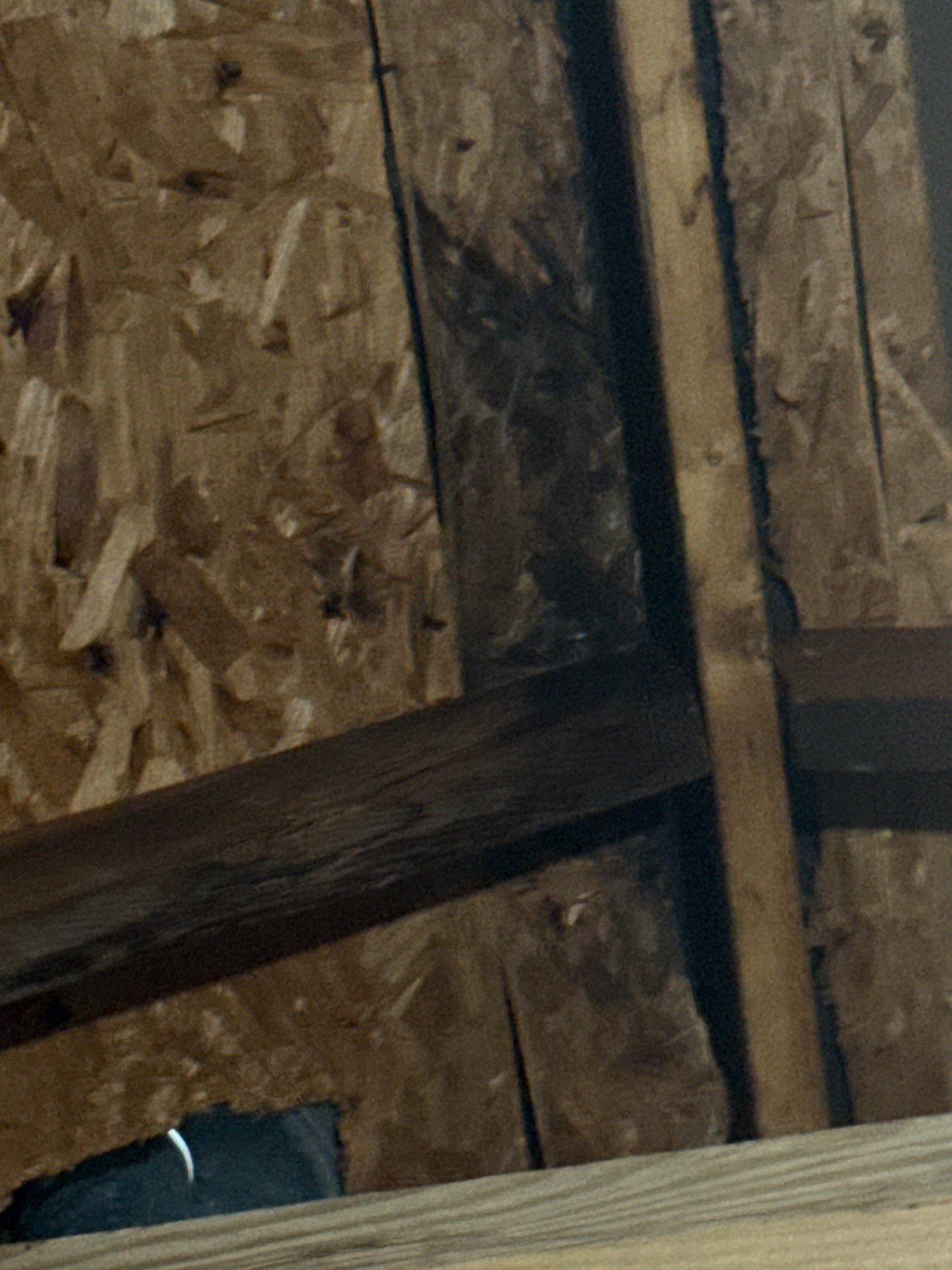 Roof Repair Spring by Roof Repair Company