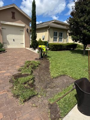 Residential | Sod Installation