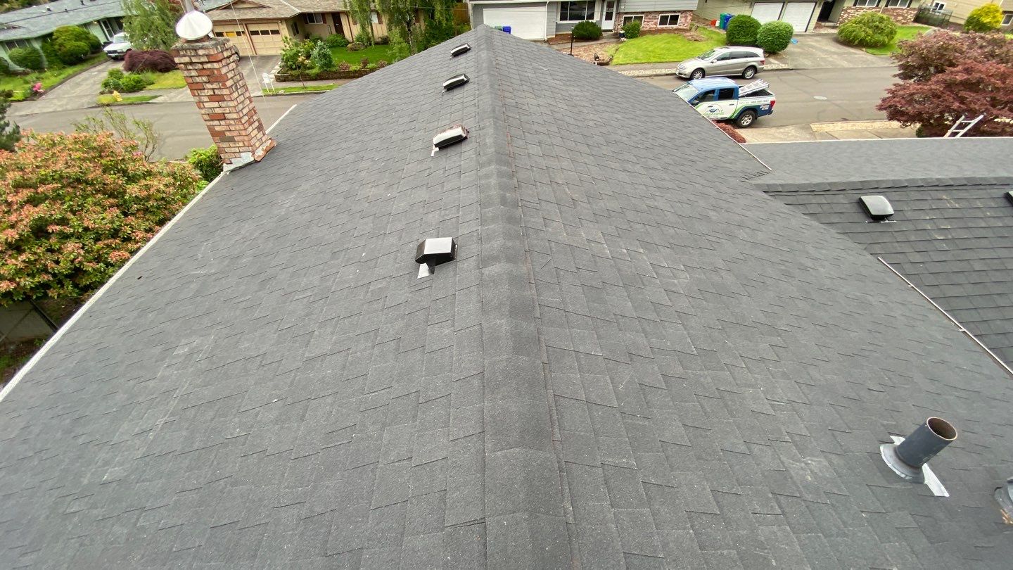Onyx Black Shingles by Reimagine Roofing