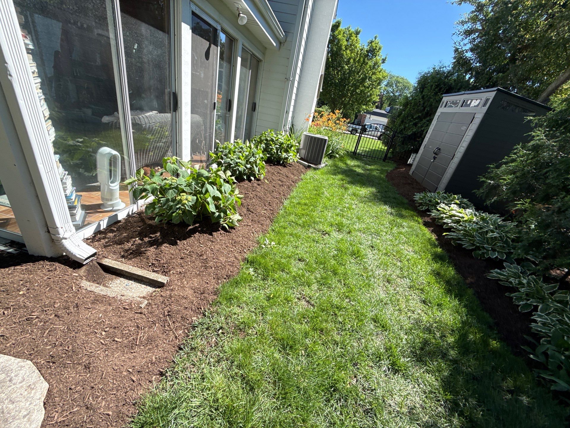Lesley D. - Arlington Heights, IL by A&N 