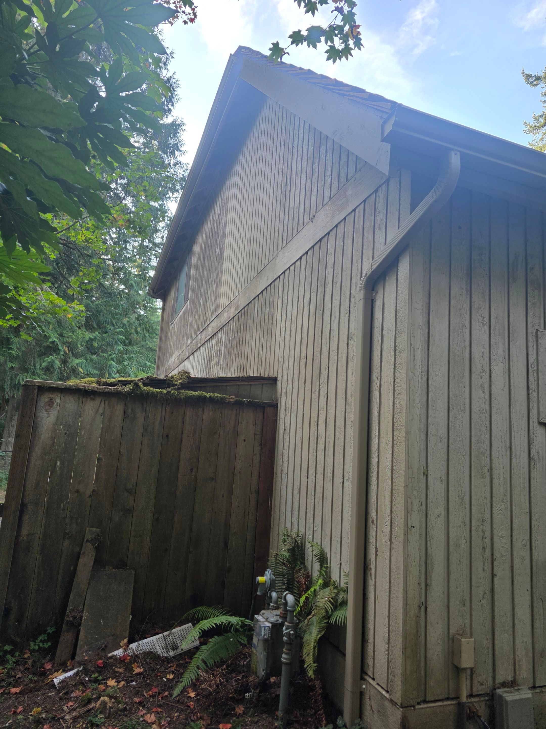 Tree Strike Repair - Issaquah by RoofSmart