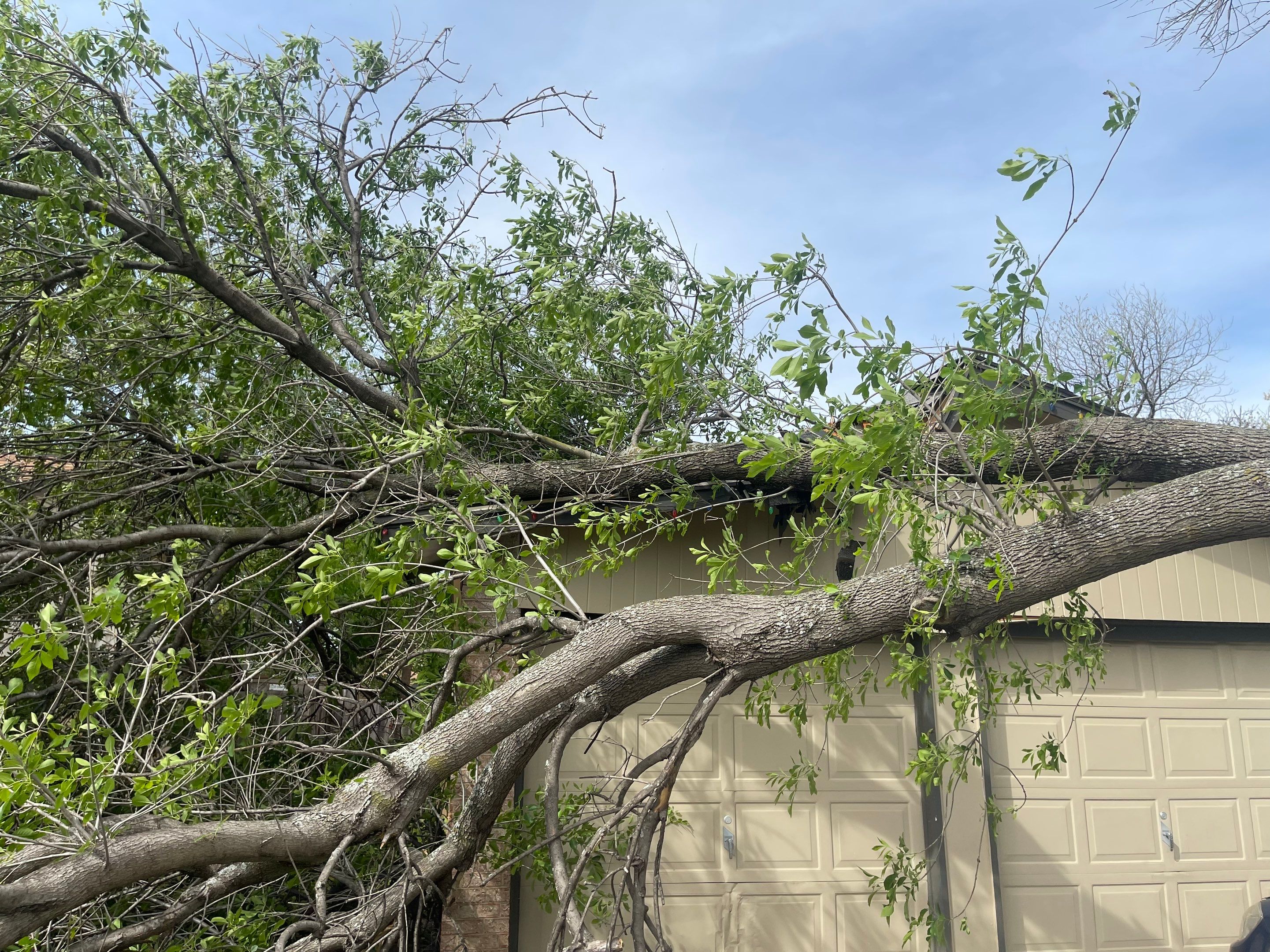 Storm Damage and Emergency Repairs  by Grizzly Fence And Patio
