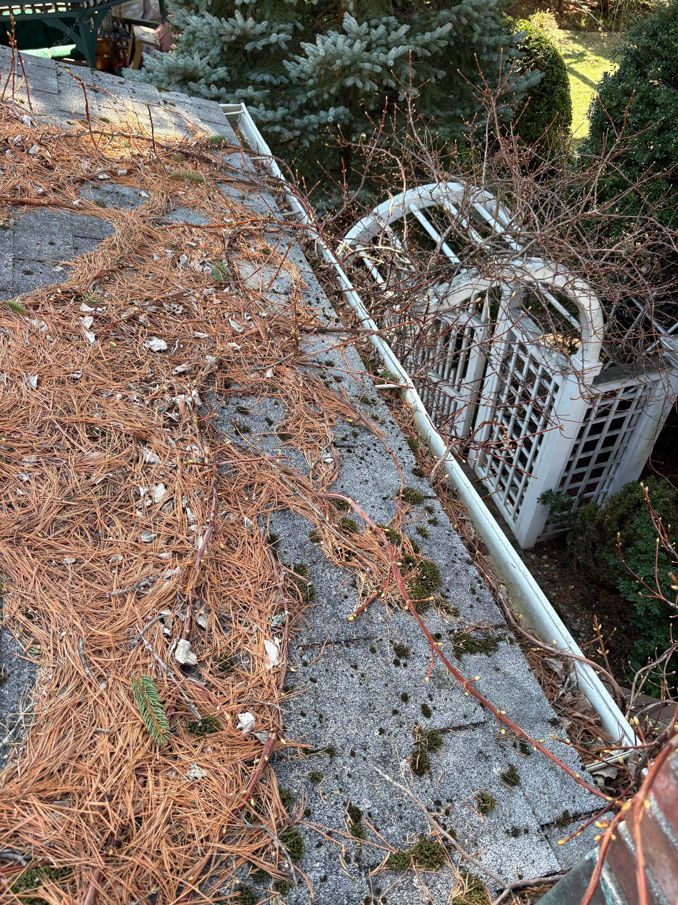 Gutter Cleaning in Garden City,NY.  by Above All Gutters 