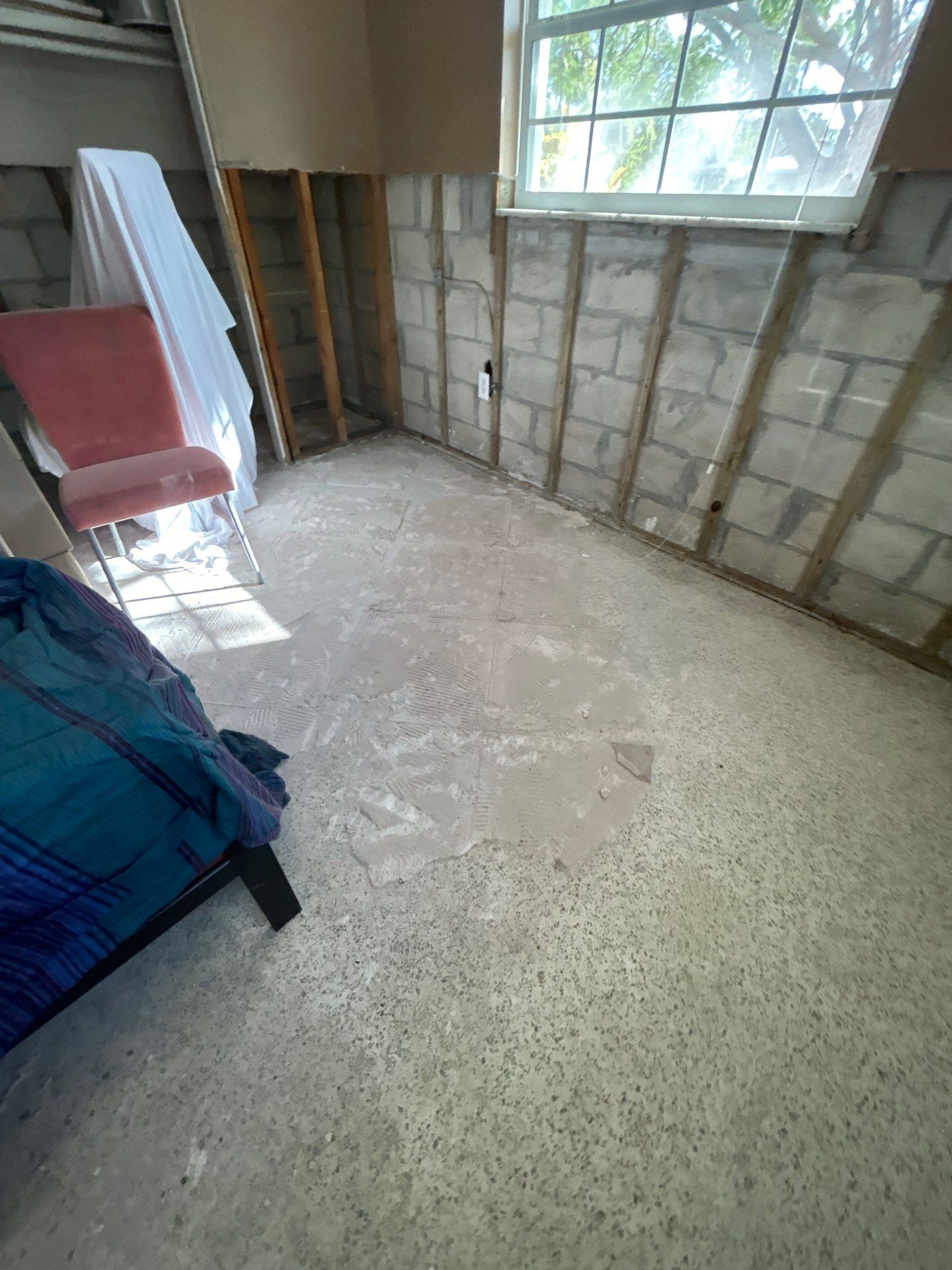 Mold Remediation + Reconstruction Bradenton by Ampm Restoration Services