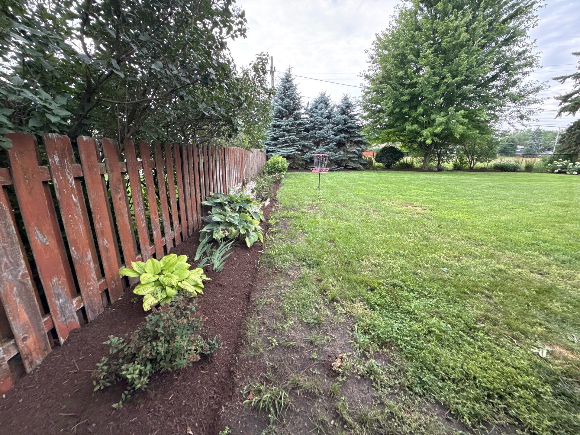 Rob M. - Arlington Heights, IL by A&N 