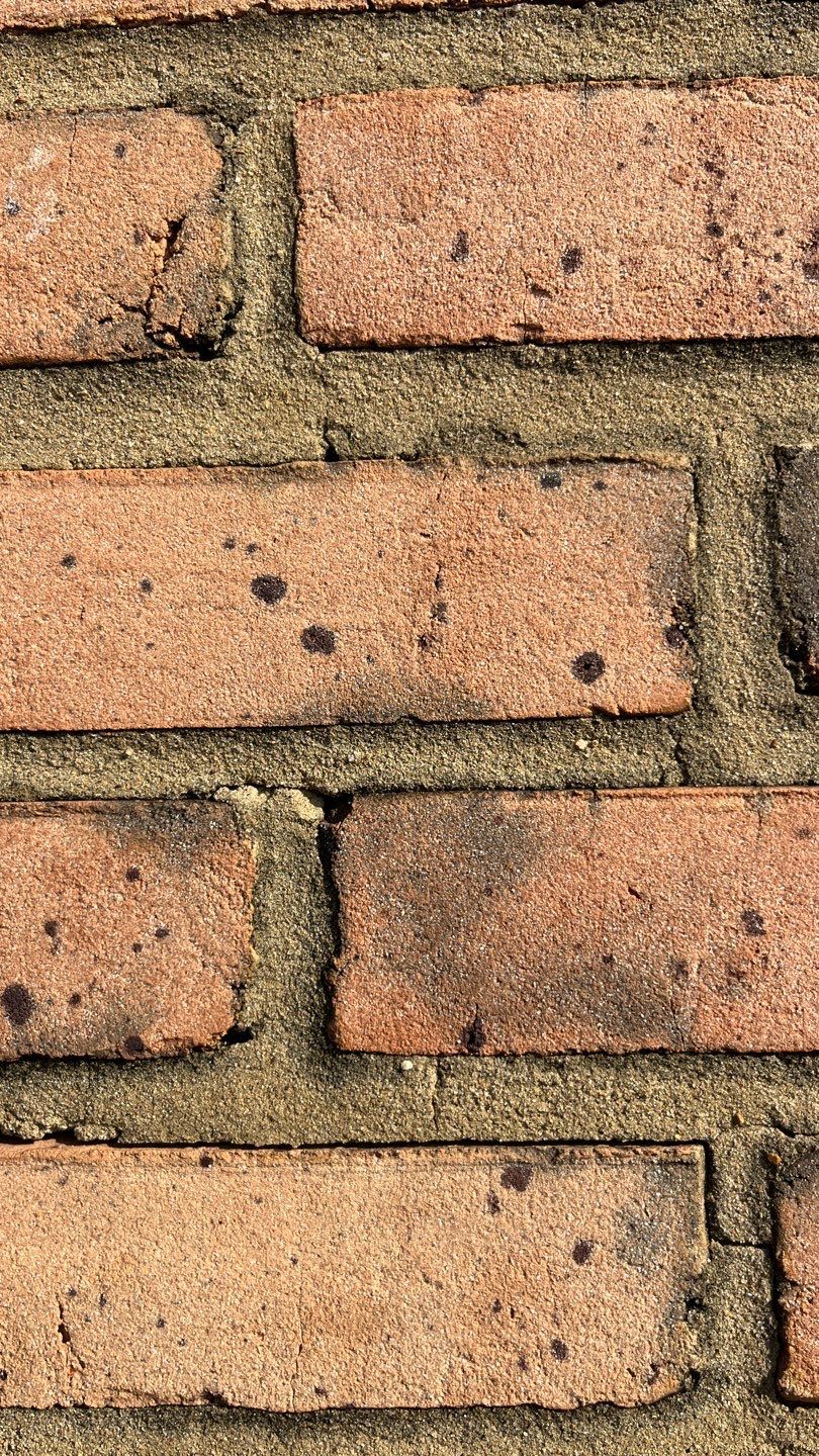 Problems in Paradise  by Bayfront Roofing and Construction