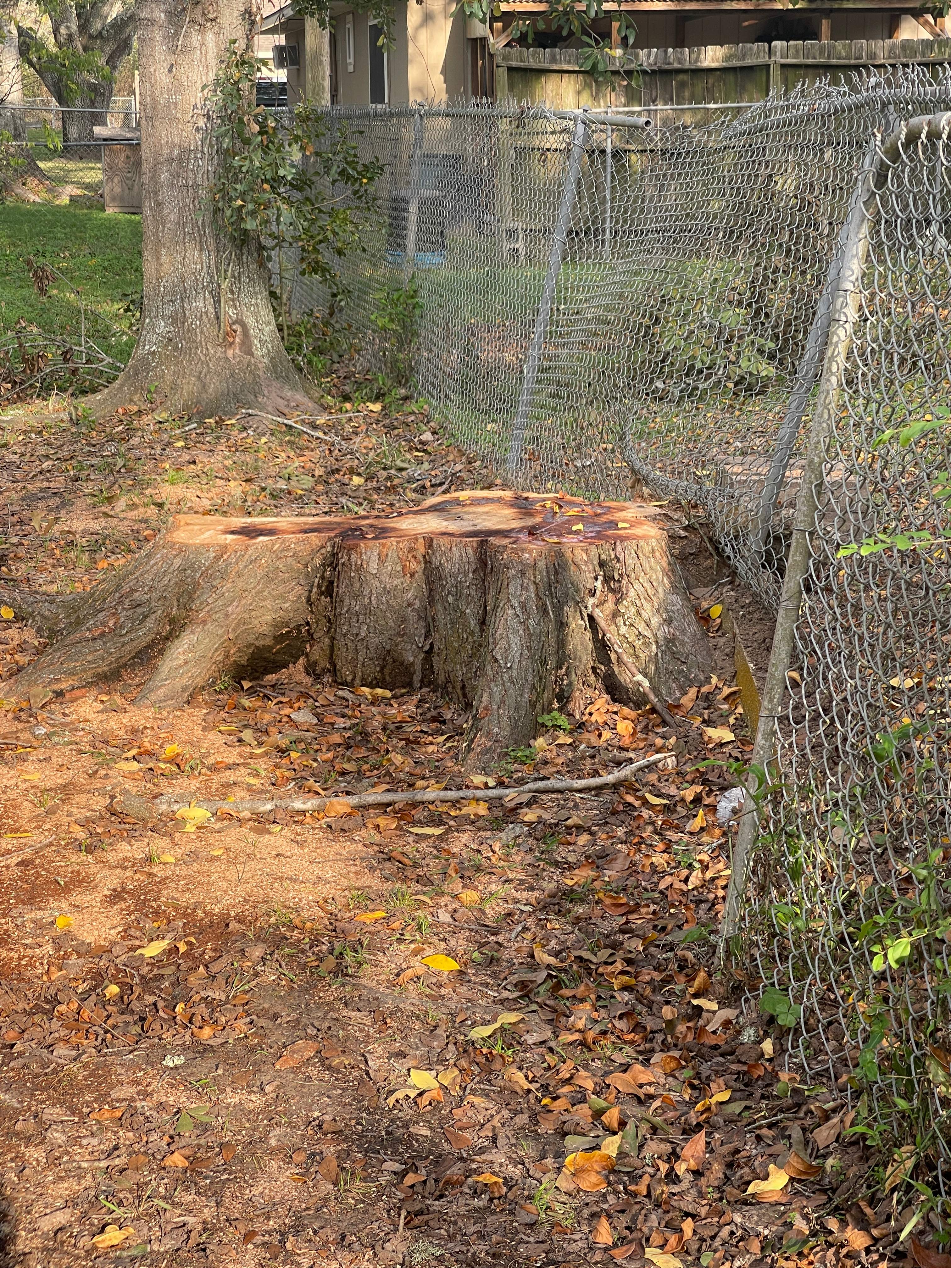 Investor Rental Remodel by JTX Pro Services LLC